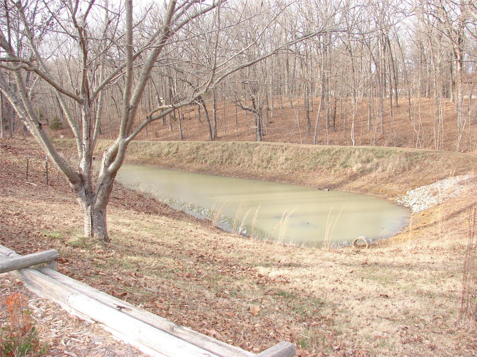 4221 West Lake Road Pinckneyville, IL 62274 - Photo 20 of 21 Gallery Image 20