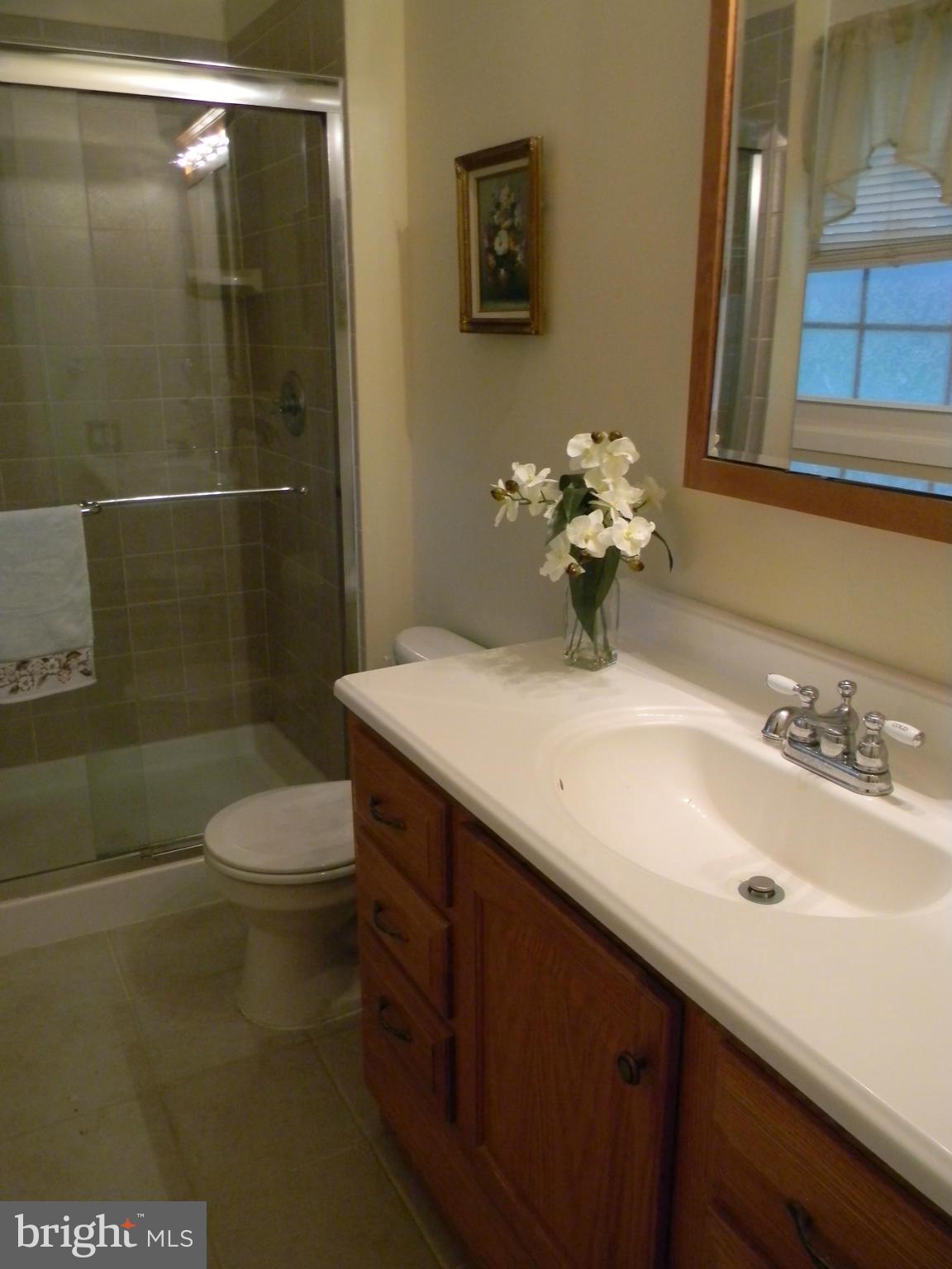 12502 Ivory Pass Laurel, MD 20708 - Photo 17 of 30 Bath (Master)