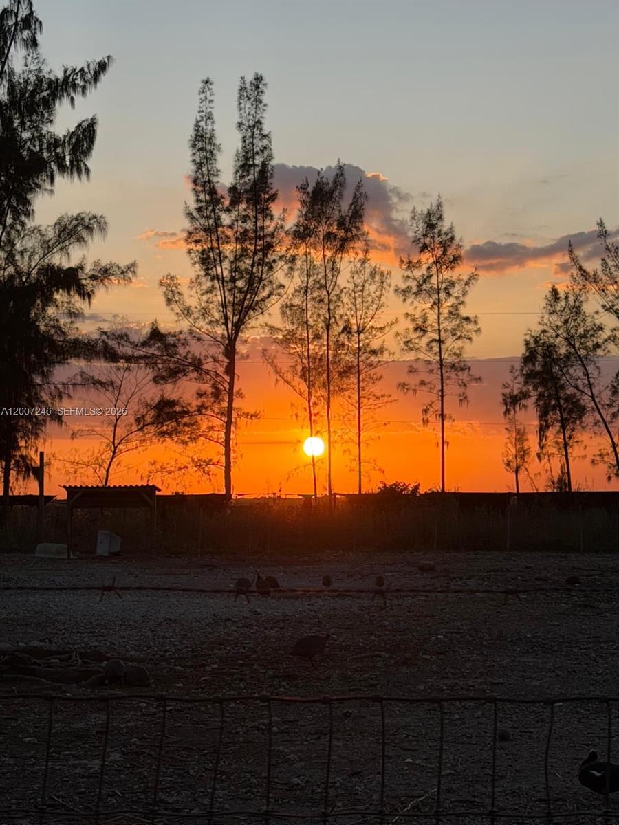 14370 Southwest 208th Avenue Miami, FL 33196 - Photo 1 of 19 a view of sunset