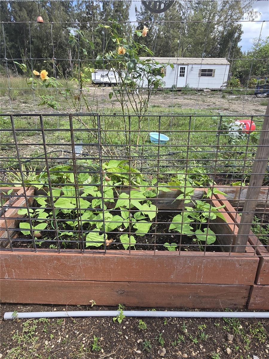 14370 Southwest 208th Avenue Miami, FL 33196 - Photo 15 of 19 a view of a garden with a yard