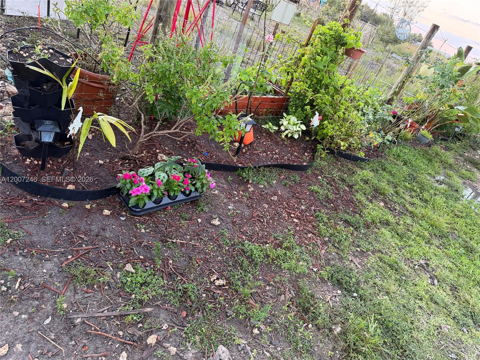 14370 Southwest 208th Avenue Miami, FL 33196 - Photo 8 of 19 a view of a garden with a lot of plants and flowers