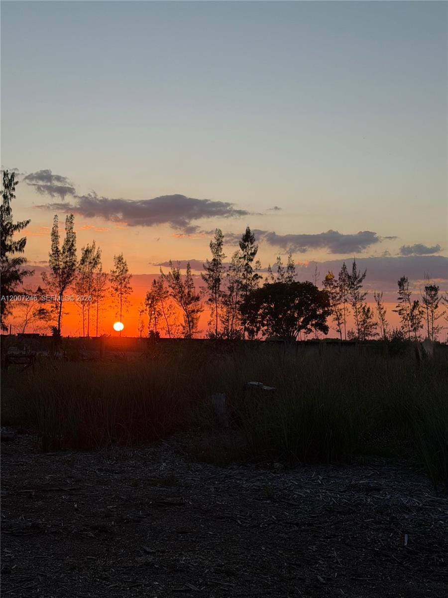 14370 Southwest 208th Avenue Miami, FL 33196 - Photo 10 of 19 a view of sunset