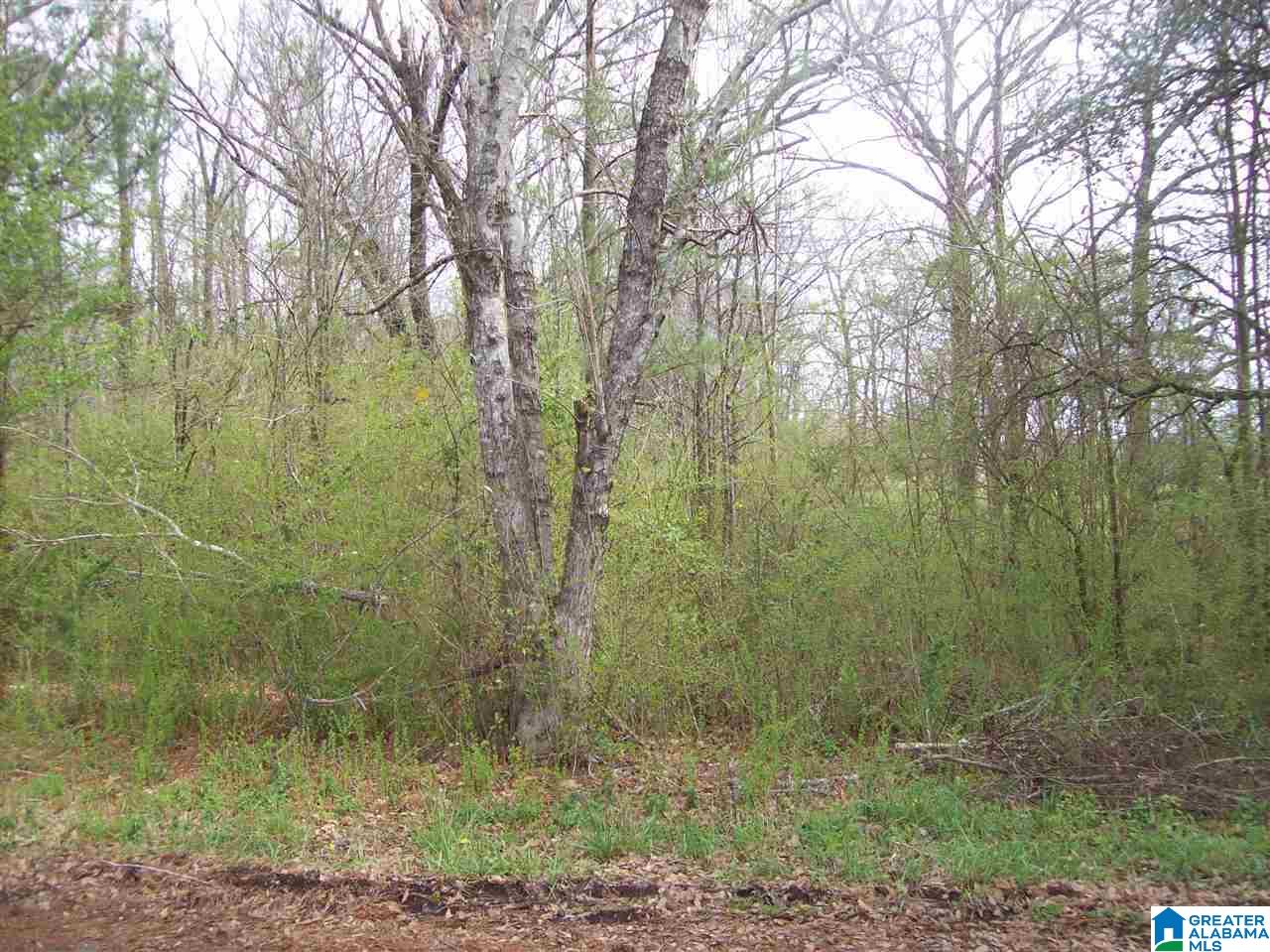 1556 Campbell Loop Road, Unit 1 Mount Olive, AL 35117 - Photo 1 of 1