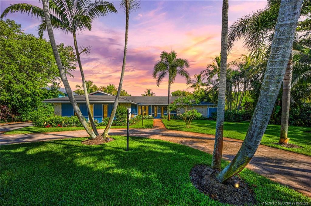 a view of a backyard with palm trees