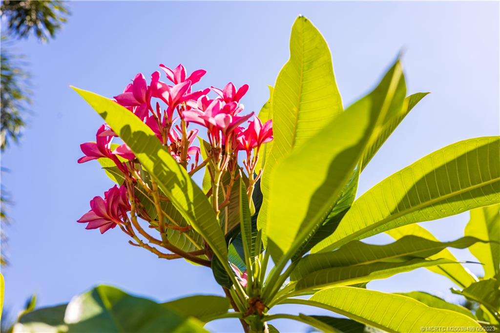 4 Ridgeview Road North Stuart, FL 34996 - Photo 44 of 57