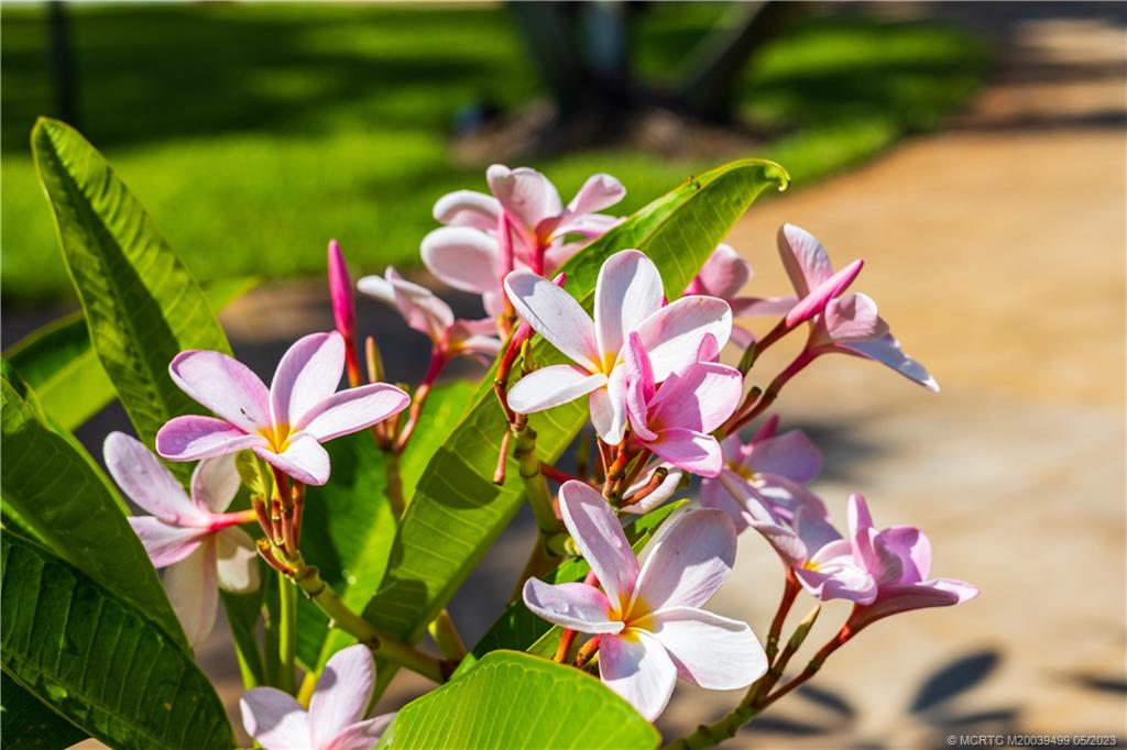 4 Ridgeview Road North Stuart, FL 34996 - Photo 48 of 57