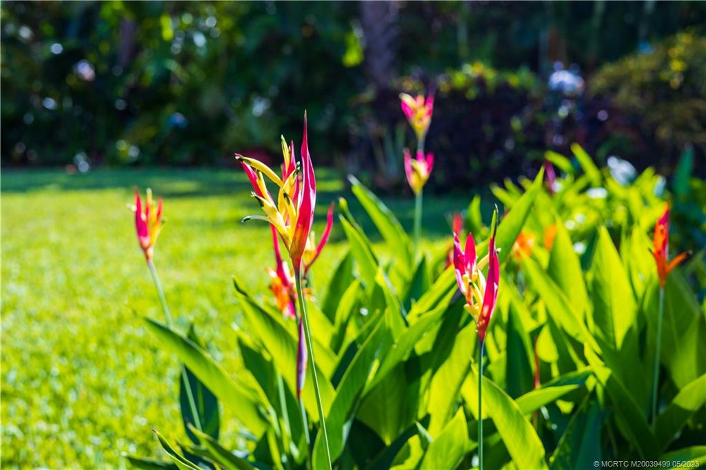 4 Ridgeview Road North Stuart, FL 34996 - Photo 51 of 57 a view of a small yard