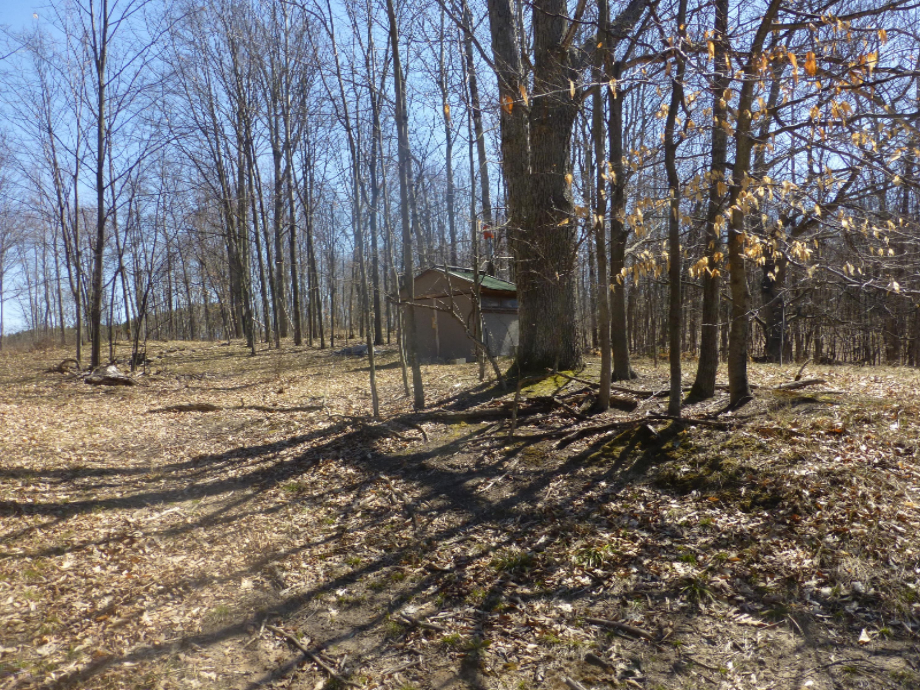 South Custer Road Custer, MI 49405 - Photo 1 of 12 Sugar Shack