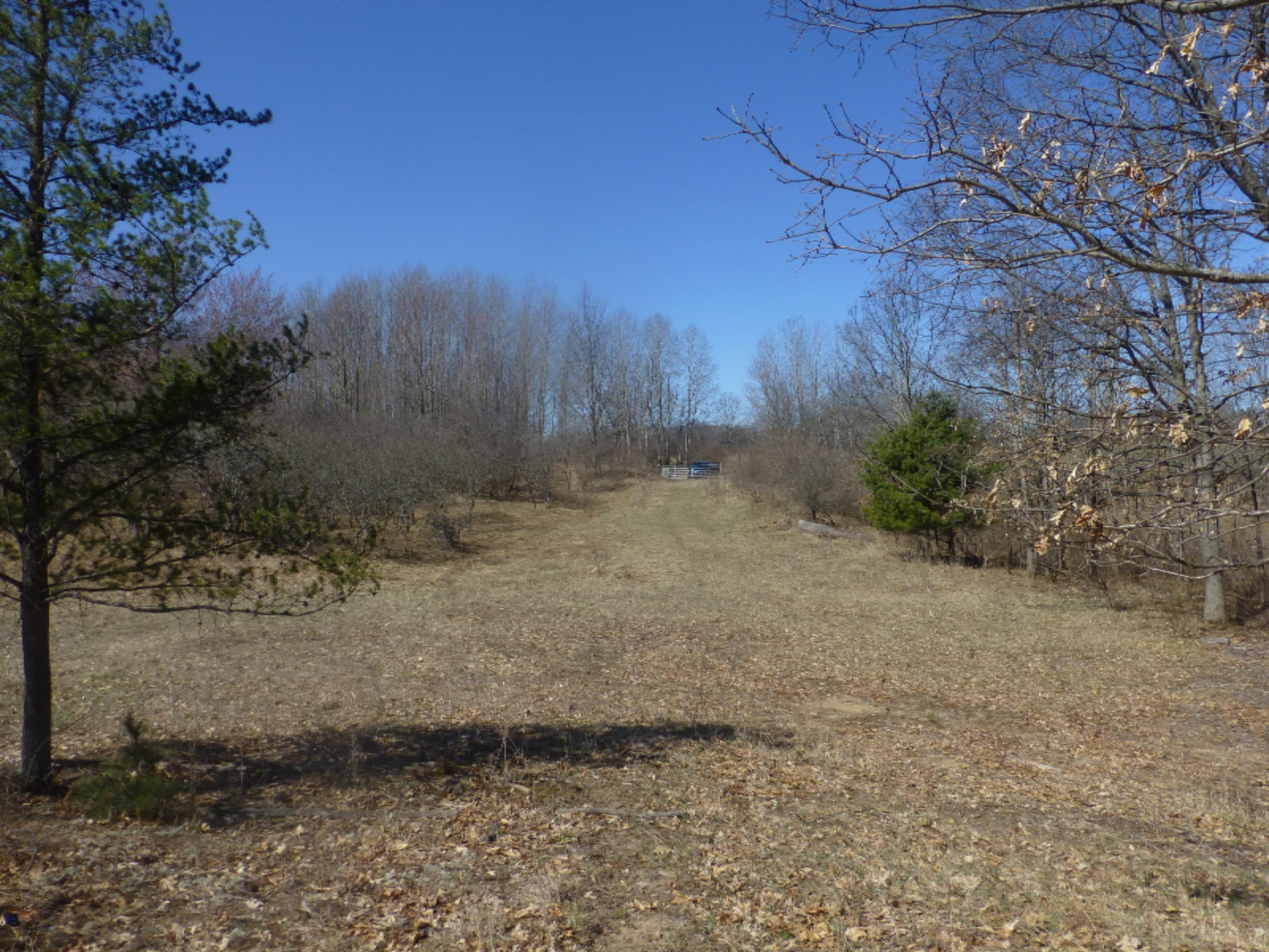 South Custer Road Custer, MI 49405 - Photo 4 of 12 P1060241