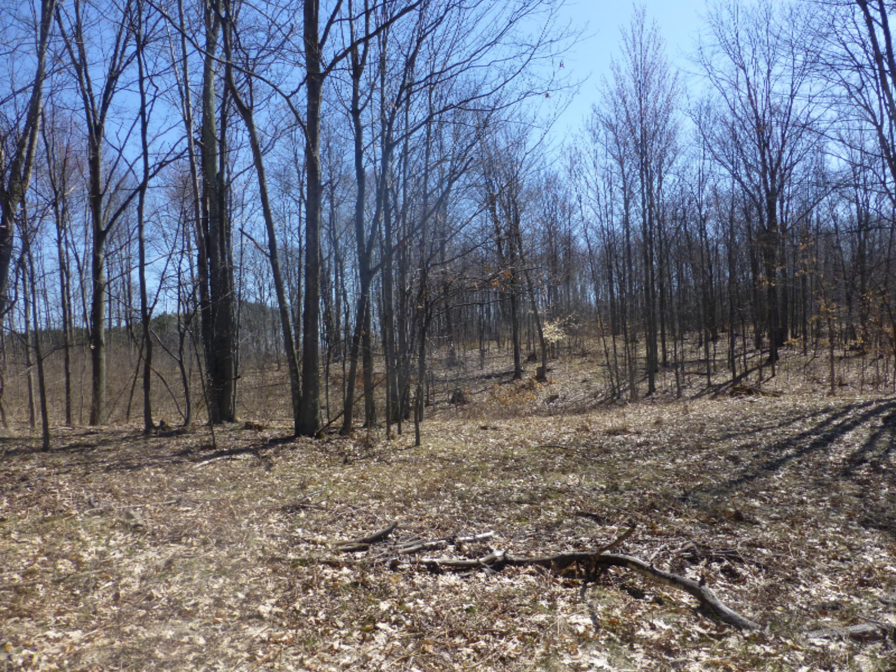 South Custer Road Custer, MI 49405 - Photo 10 of 12 P1060248