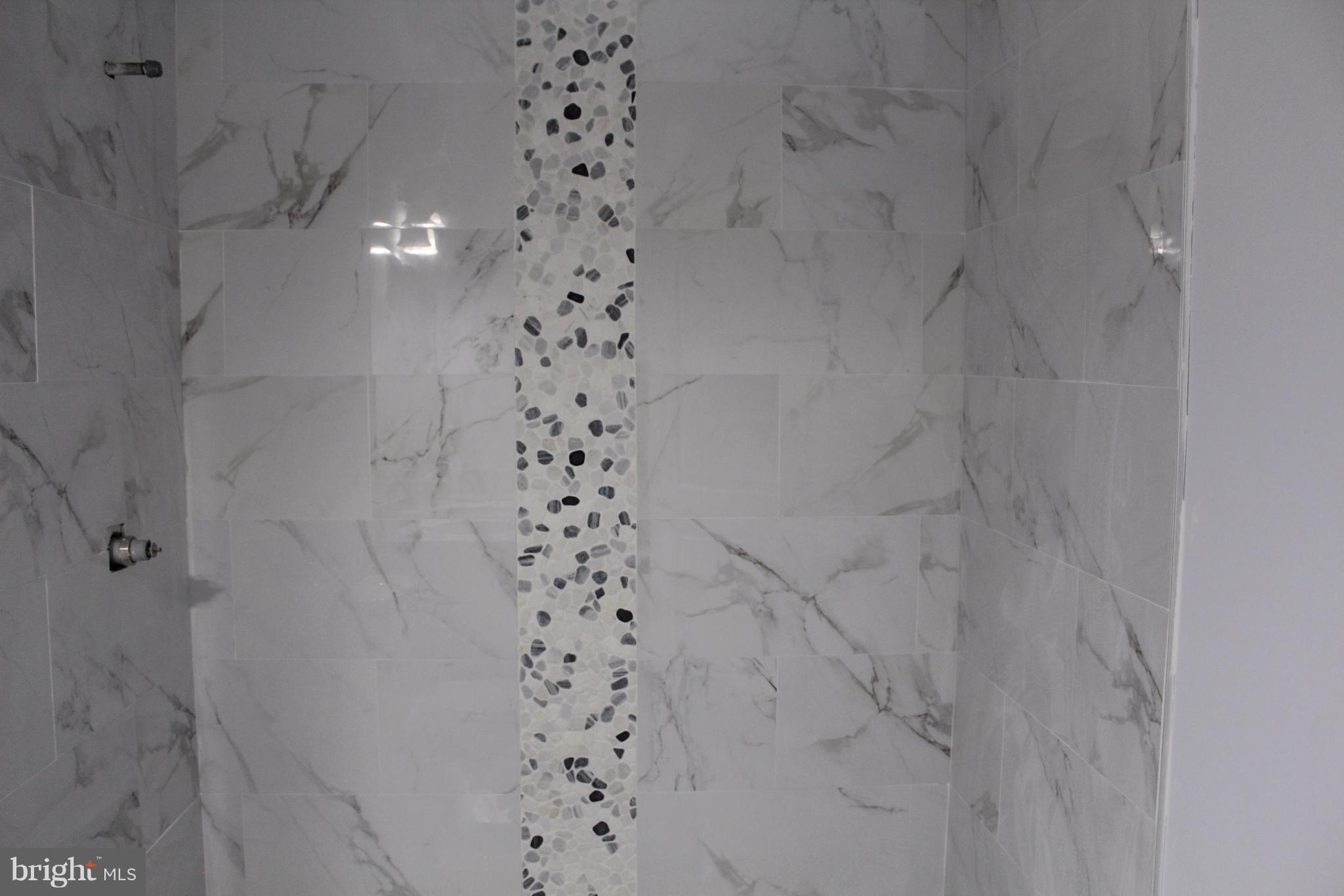 649 Columbia Road Northwest Washington, DC 20001 - Photo 5 of 20 Master bath with tiled shower