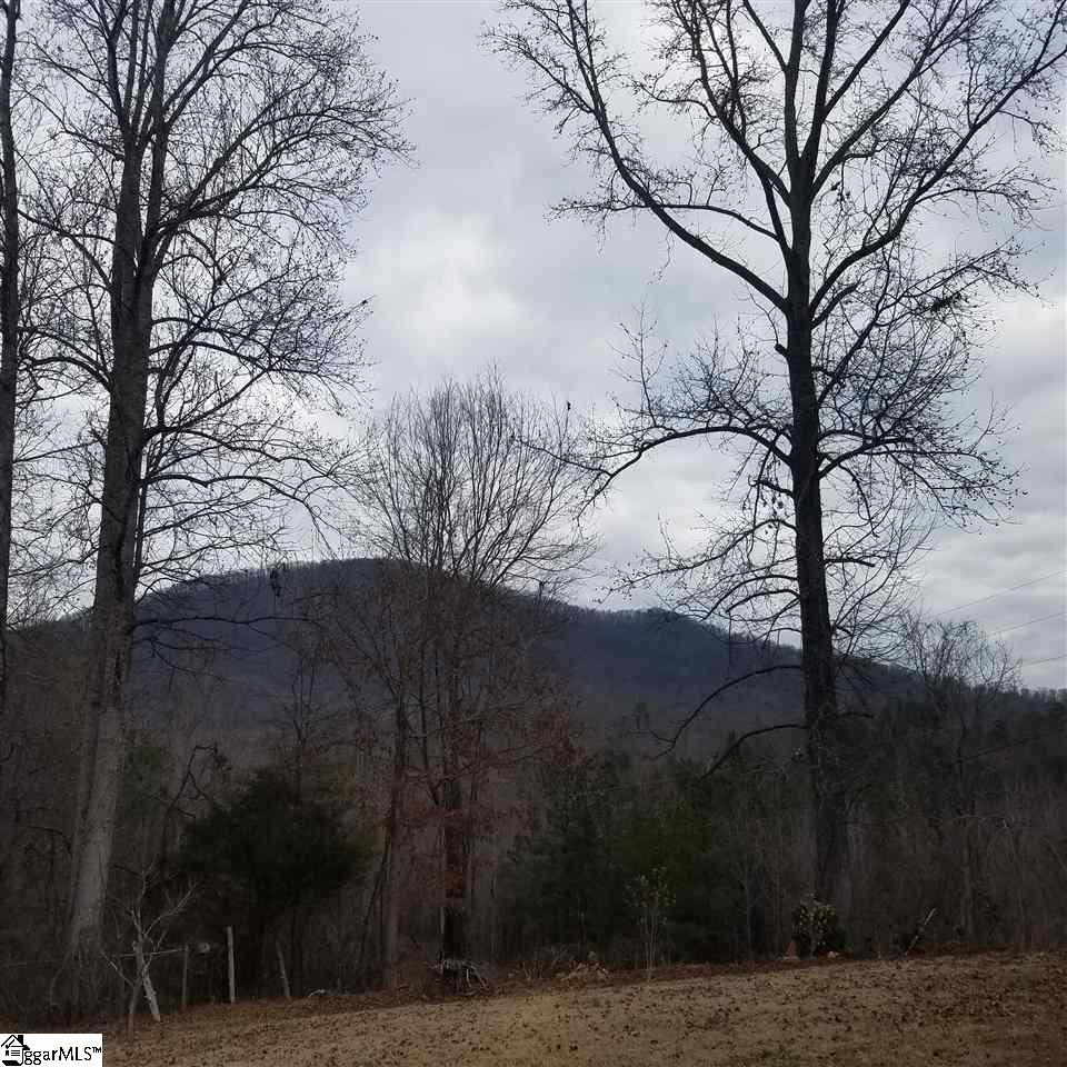 108 Left Fork Road Pickens, SC 29671 - Photo 2 of 3