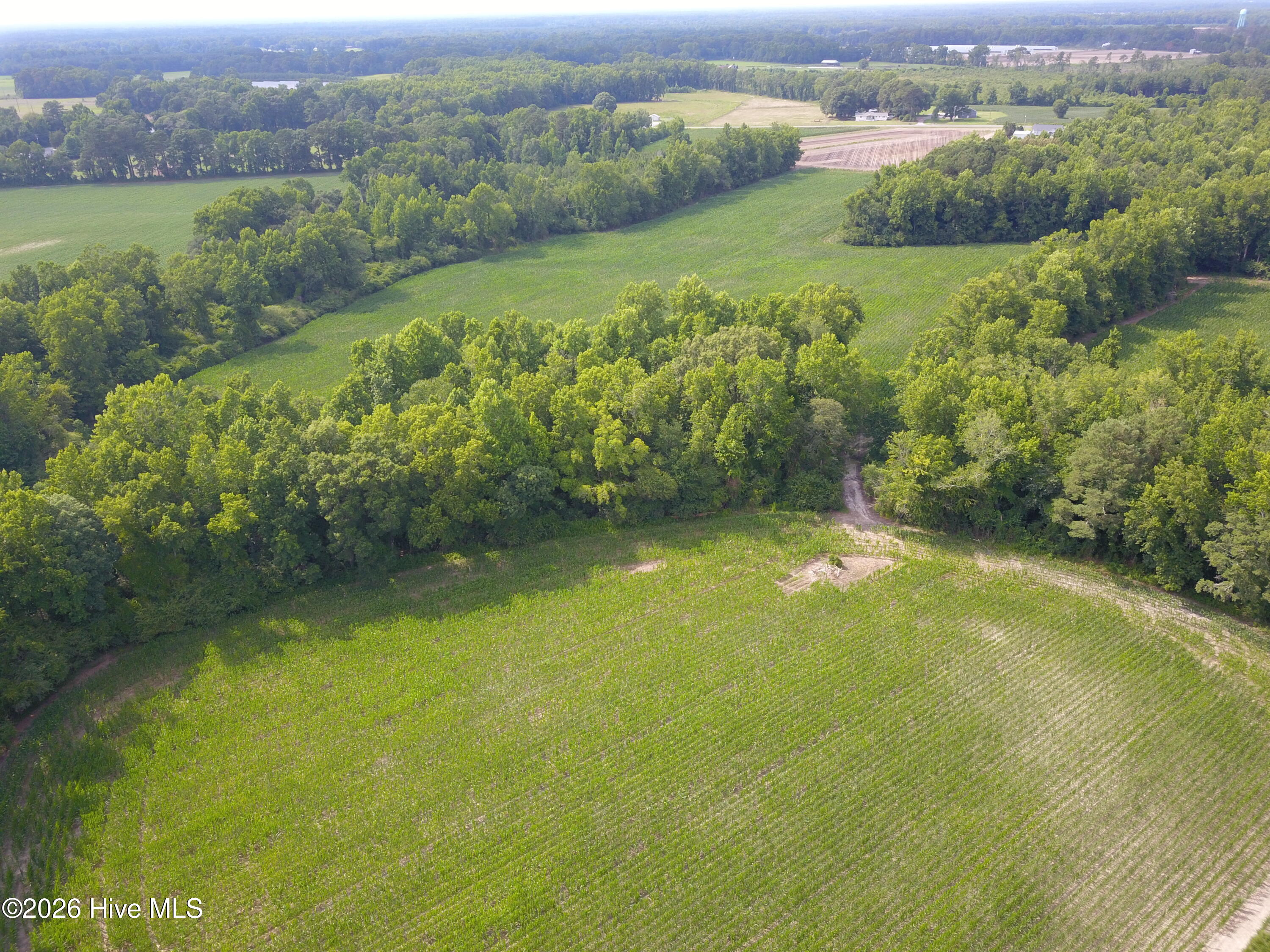 1817 Off S/ Road South Chinquapin, NC 28521 - Photo 6 of 10