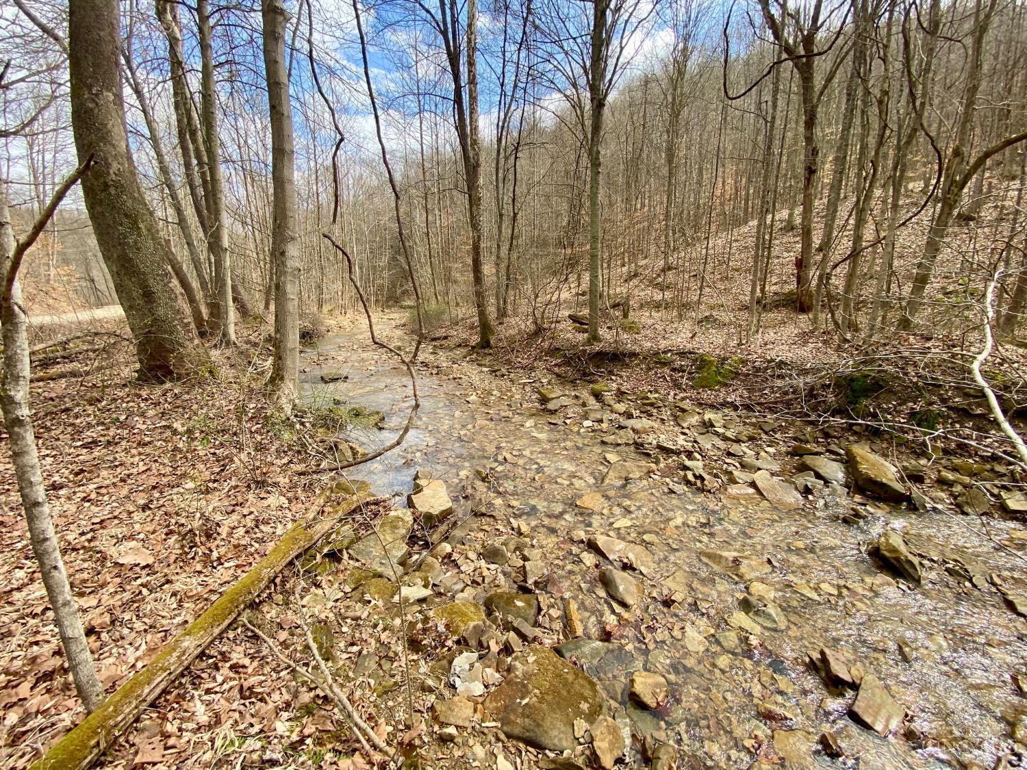 Ac Beech Fork Road Peebles, OH 45660 - Photo 4 of 49