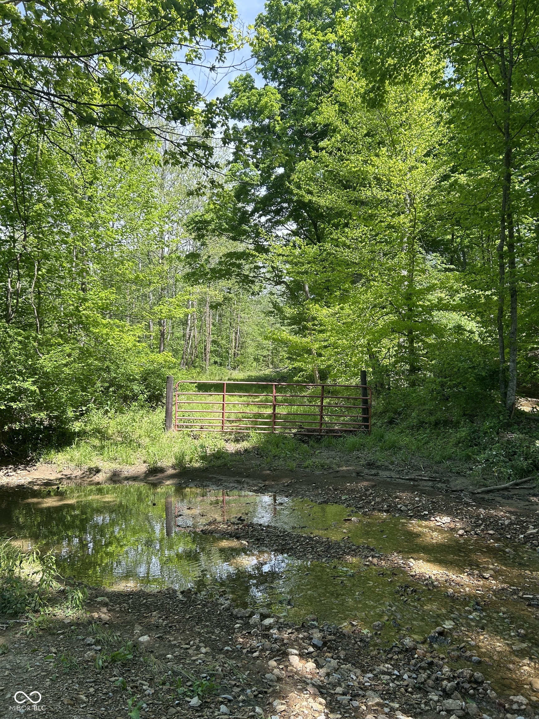 0 West Goat Hollow Road Vallonia, IN 47281 - Photo 11 of 12