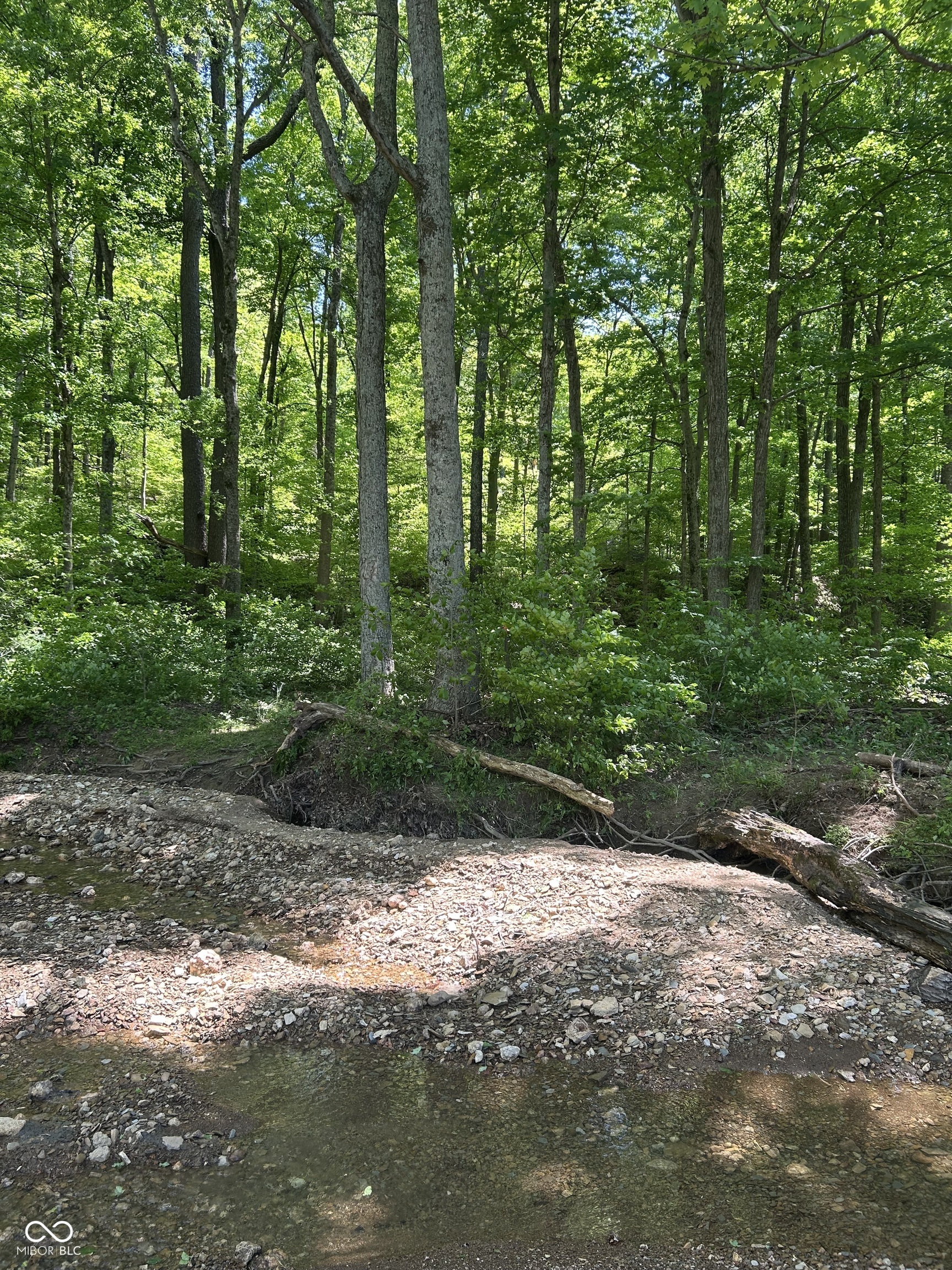 0 West Goat Hollow Road Vallonia, IN 47281 - Photo 12 of 12