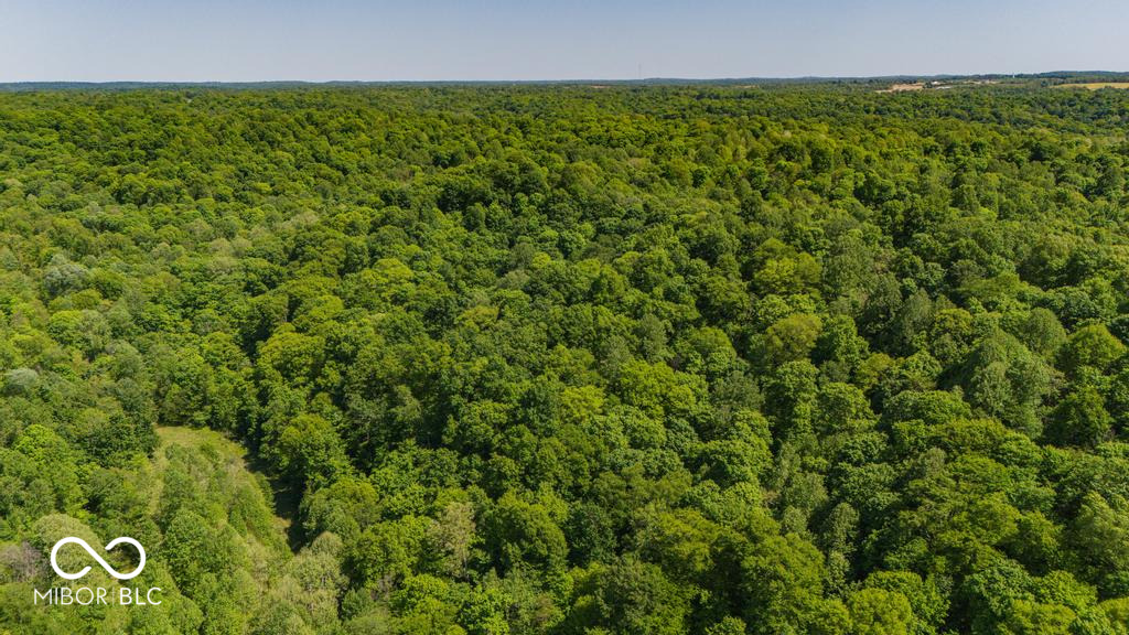 0 West Goat Hollow Road Vallonia, IN 47281 - Photo 2 of 12
