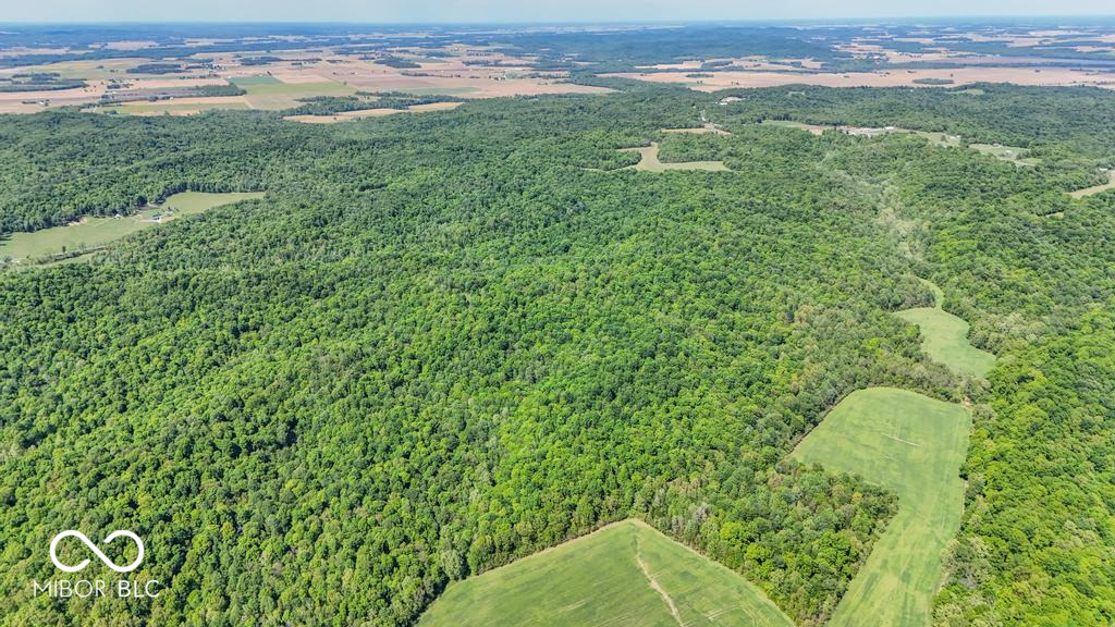 0 West Goat Hollow Road Vallonia, IN 47281 - Photo 3 of 12