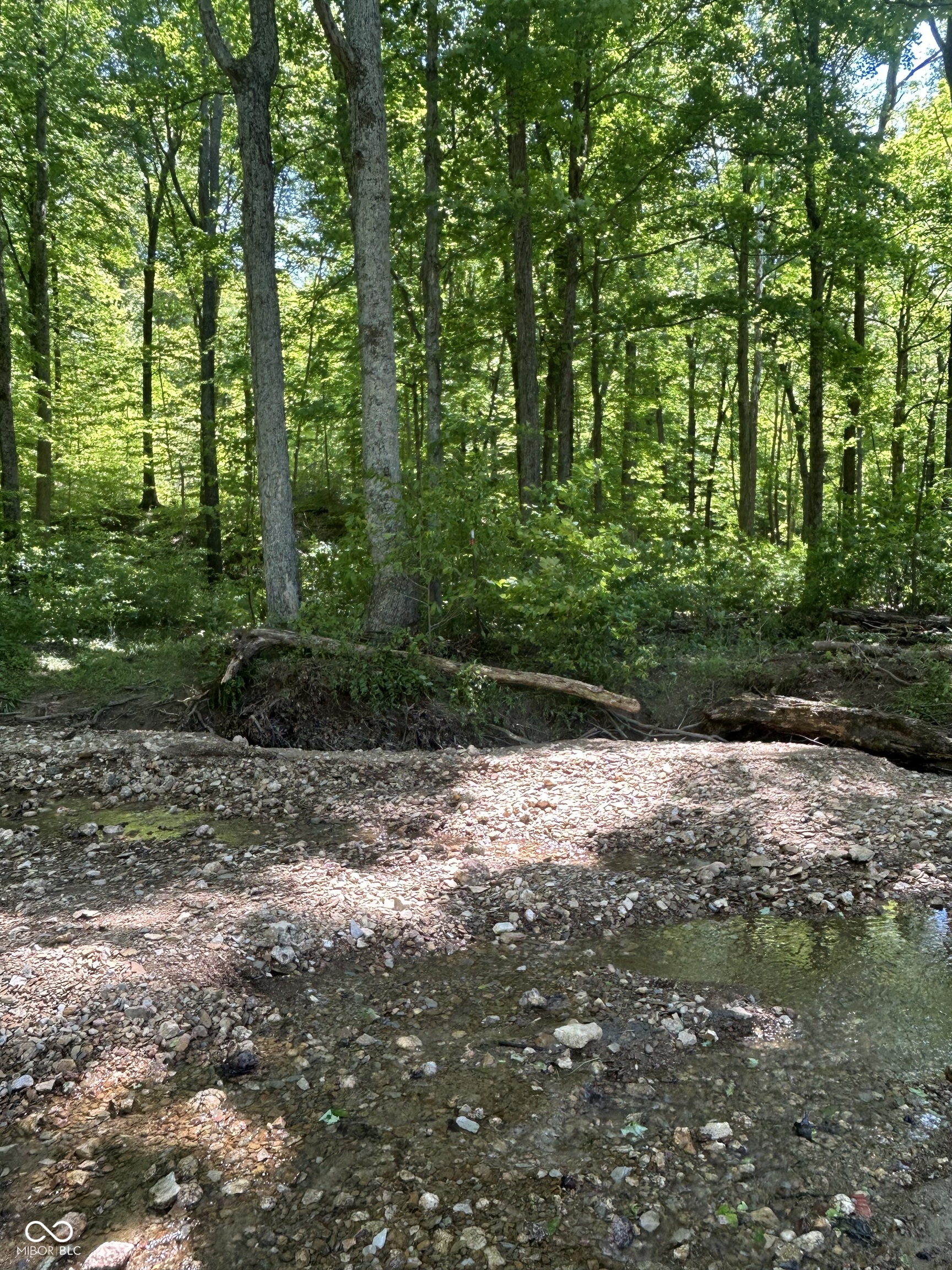 0 West Goat Hollow Road Vallonia, IN 47281 - Photo 7 of 12