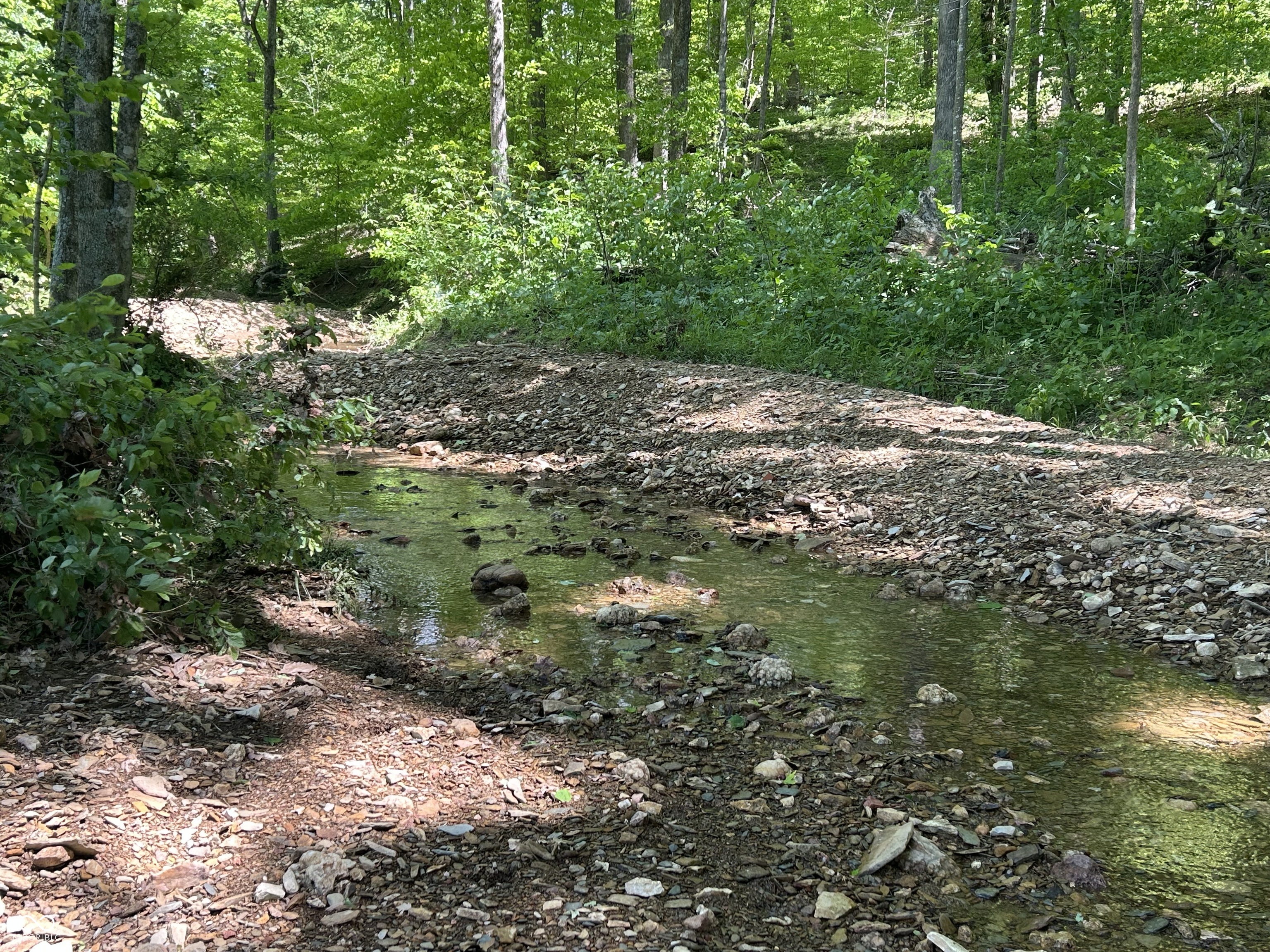 0 West Goat Hollow Road Vallonia, IN 47281 - Photo 8 of 12
