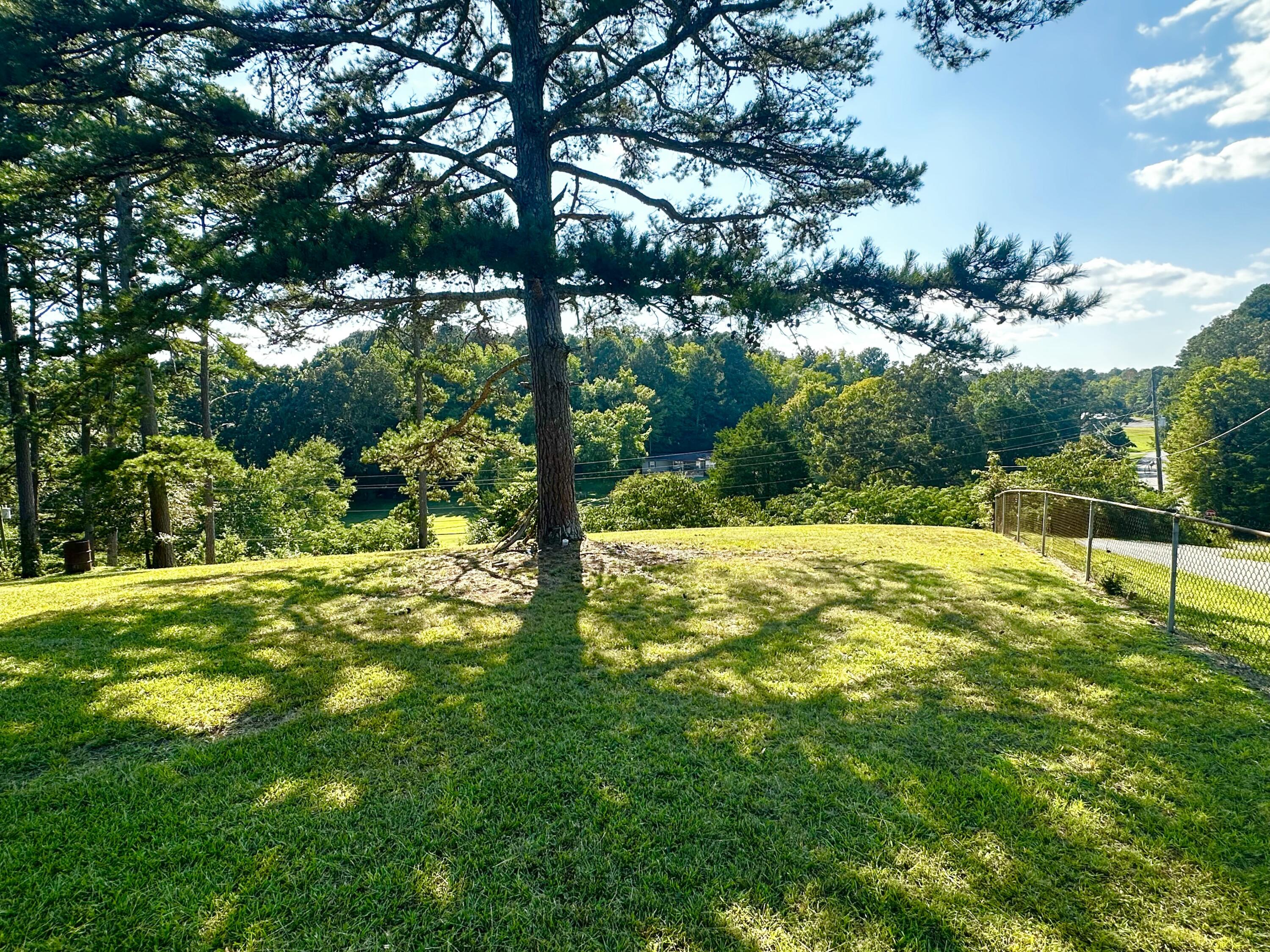 70 Brogdon Drive Chickamauga, GA 30707 - Photo 13 of 54 IMG_9496
