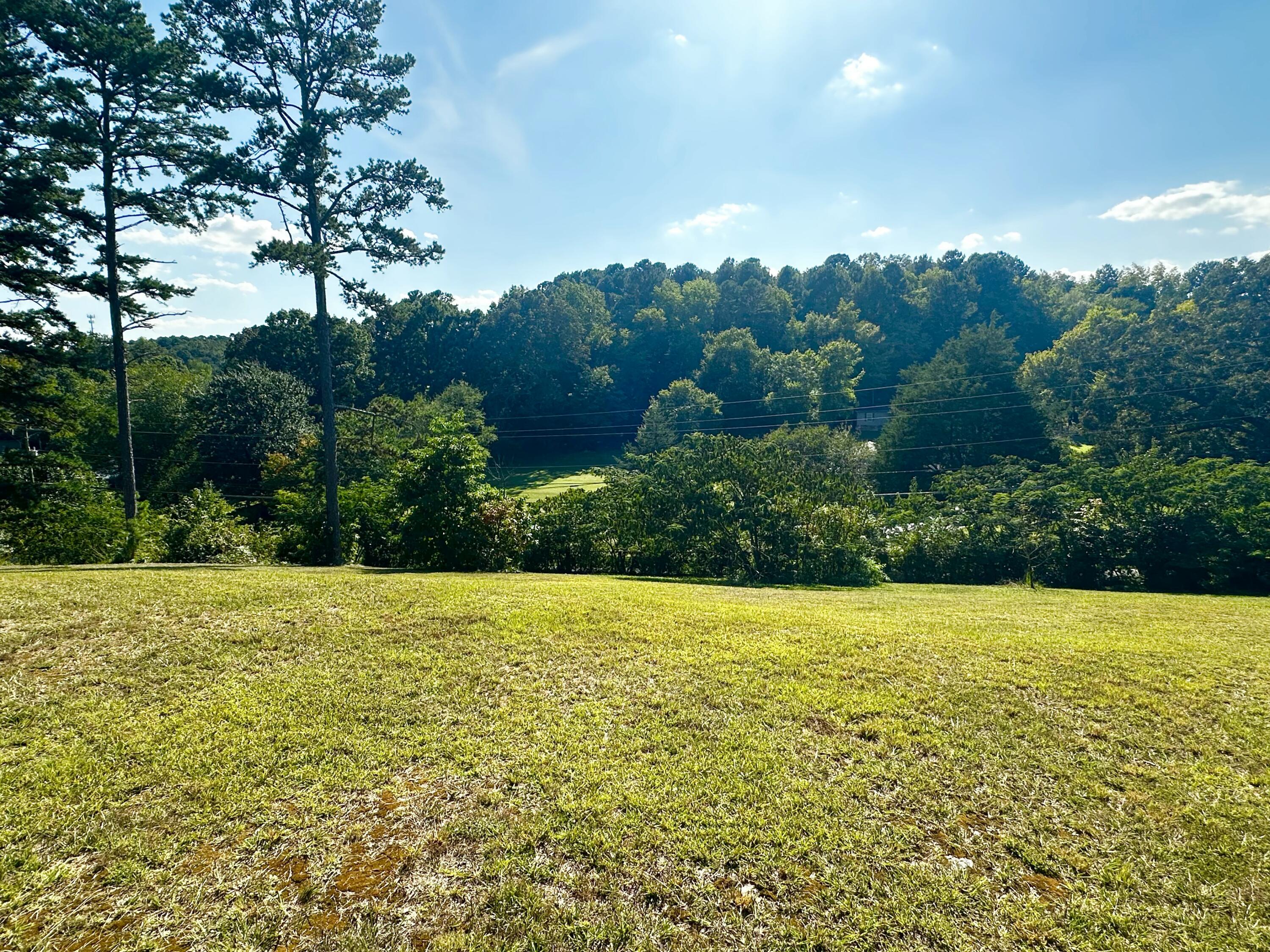 70 Brogdon Drive Chickamauga, GA 30707 - Photo 15 of 54 IMG_9498