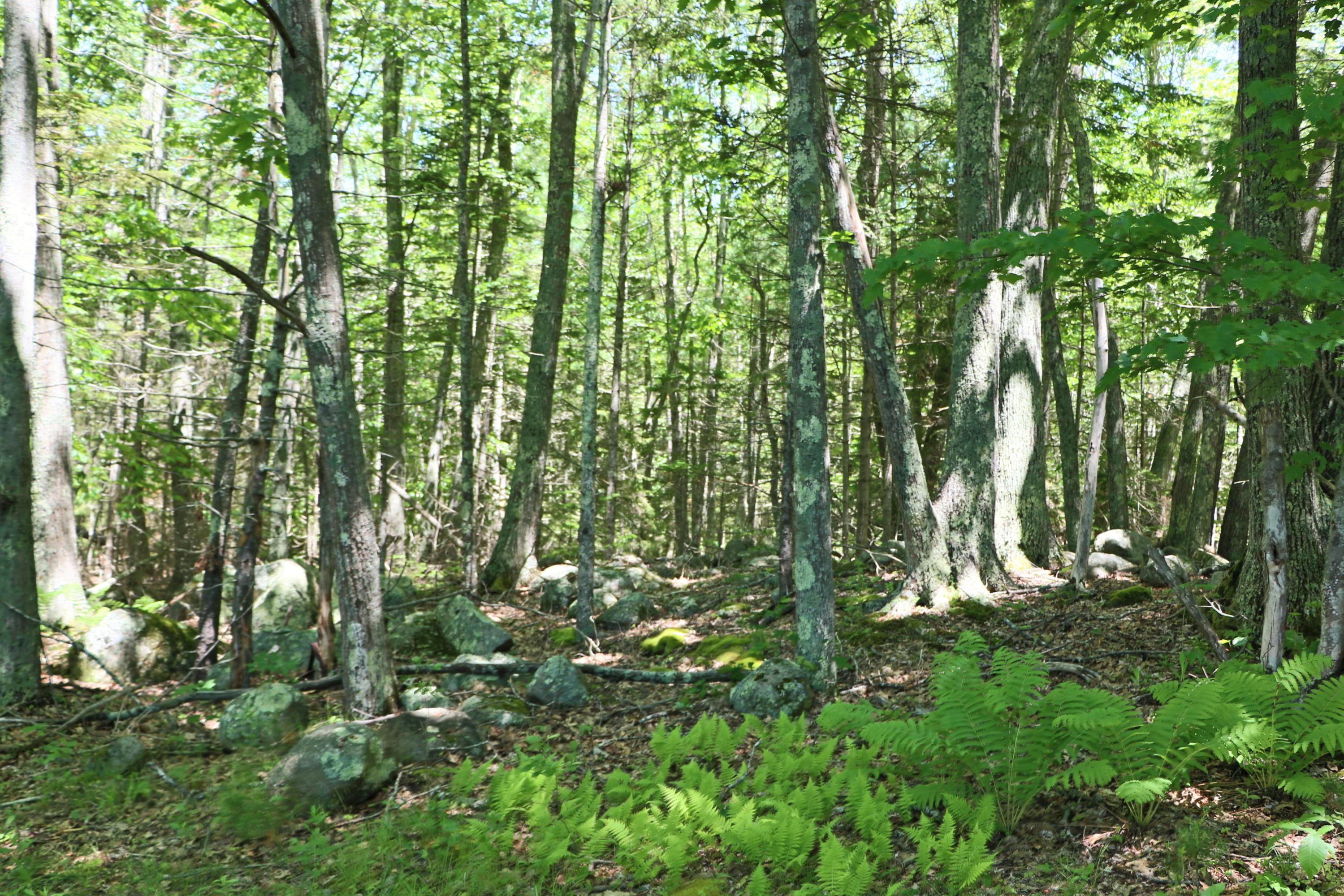 277 Stoney Brook Road Phippsburg, ME 04562 - Photo 31 of 36 IMG_0146