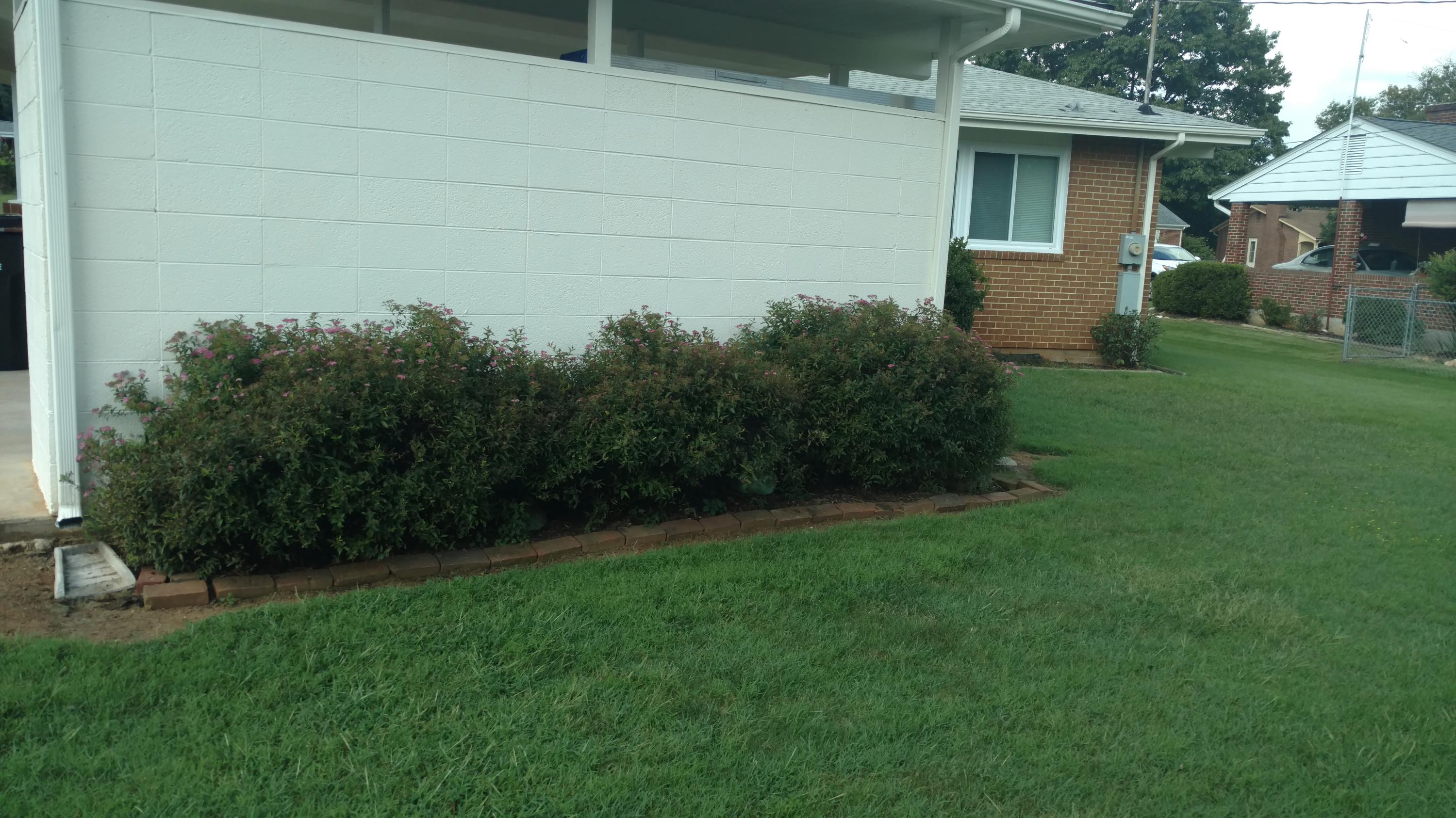 5507 Littleton Road Roanoke, VA 24012 - Photo 17 of 19 IMG_20180905_110021175