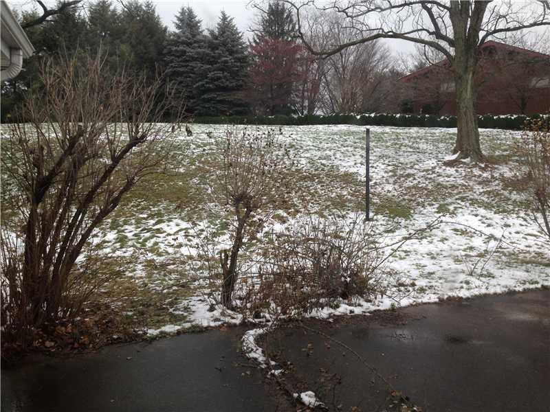 420 Bradys Ridge Road Beaver, PA 15009 - Photo 15 of 20 Yard/Garden.