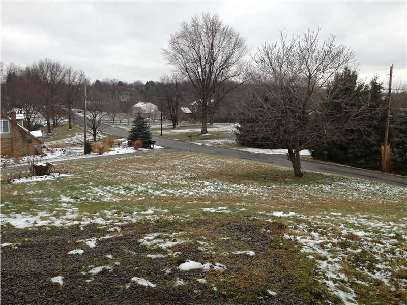 420 Bradys Ridge Road Beaver, PA 15009 - Photo 16 of 20 Yard/Garden.