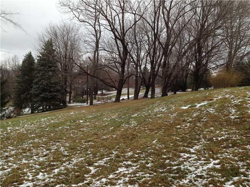 420 Bradys Ridge Road Beaver, PA 15009 - Photo 19 of 20 Yard/Garden.