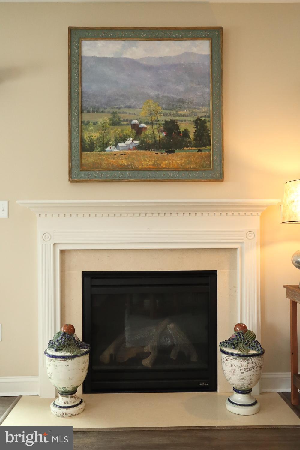 1538 Parvin Road Lancaster, PA 17601 - Photo 10 of 37 FAMILY ROOM FIREPLACE