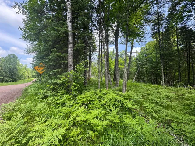 $63,000 | Xxx Crystal Lake Road, Barnum, MN 55707