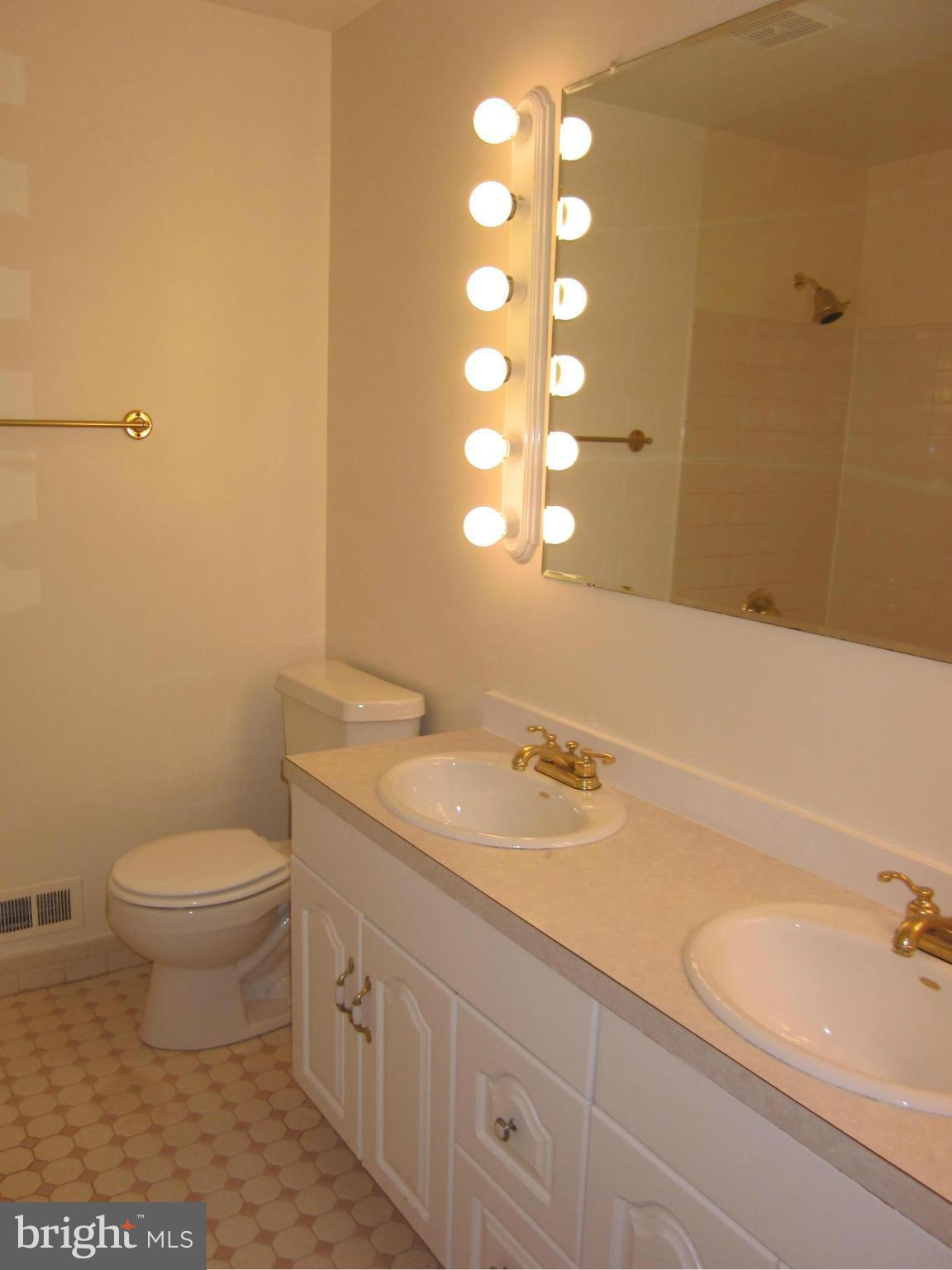 2208 Bucknell Terrace, Unit 24 Silver Spring, MD 20902 - Photo 14 of 28 Master bath with tile, double sinks