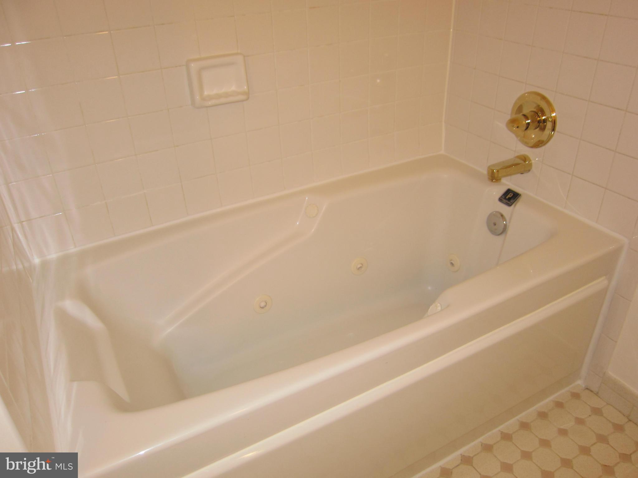 2208 Bucknell Terrace, Unit 24 Silver Spring, MD 20902 - Photo 15 of 28 Jetted tub in master bath