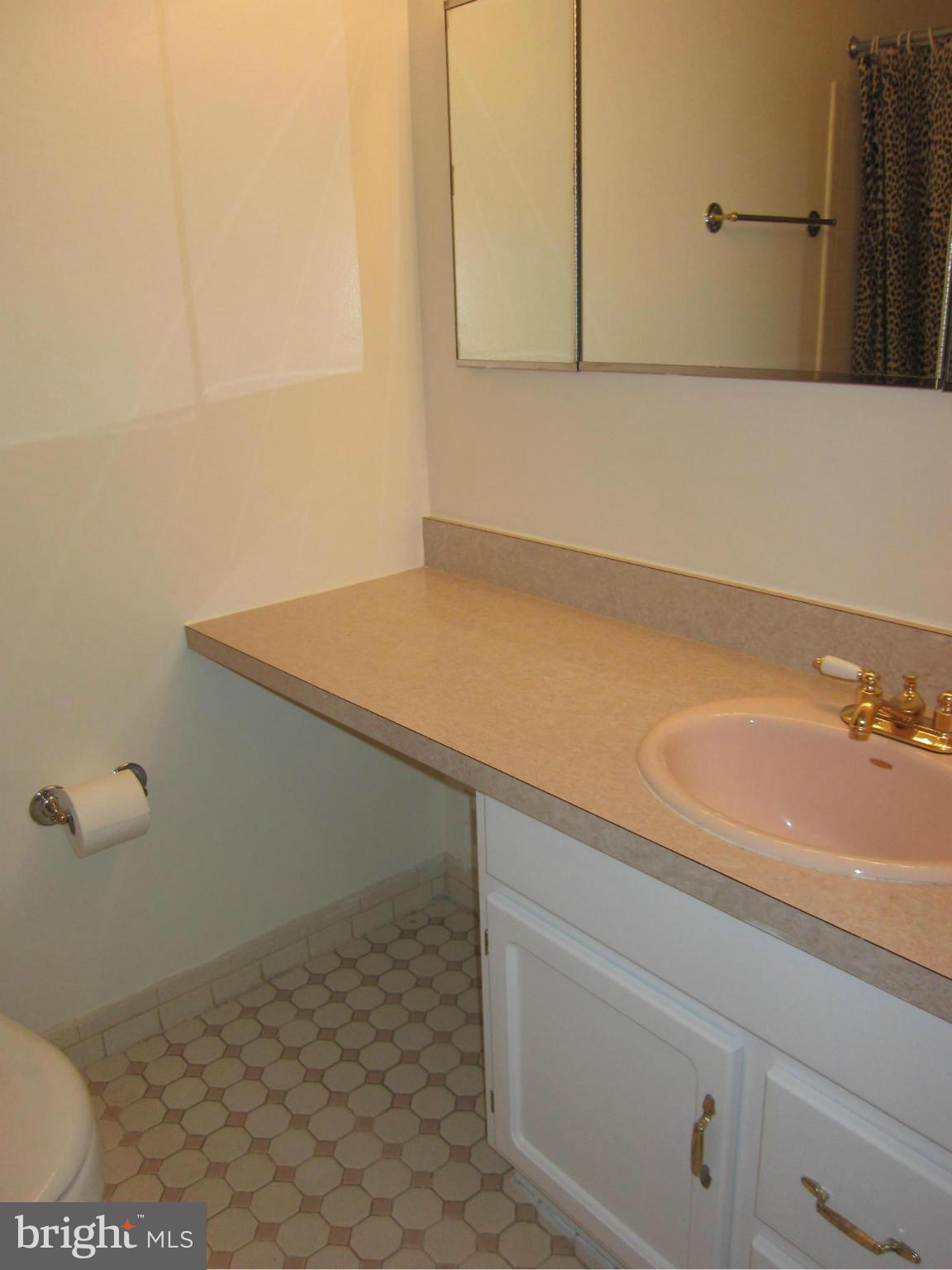 2208 Bucknell Terrace, Unit 24 Silver Spring, MD 20902 - Photo 18 of 28 Hall bath on upper level with tub