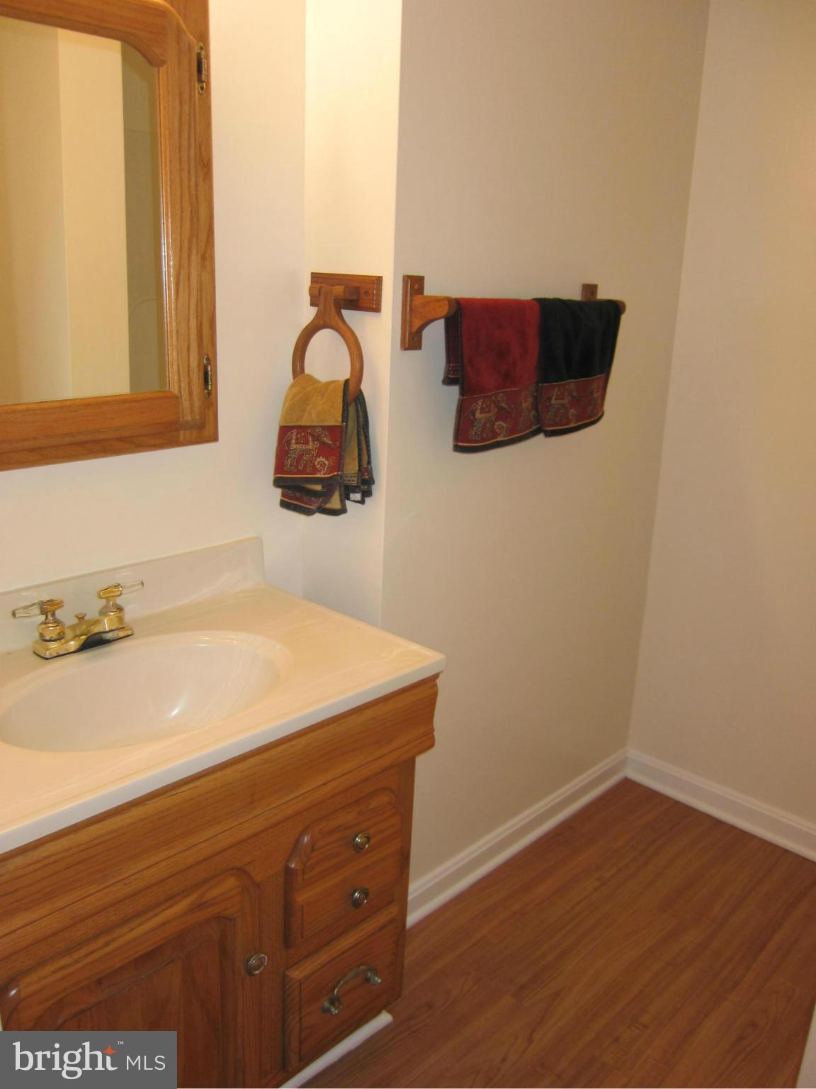 2208 Bucknell Terrace, Unit 24 Silver Spring, MD 20902 - Photo 22 of 28 Full bath in basement, new laminate floor