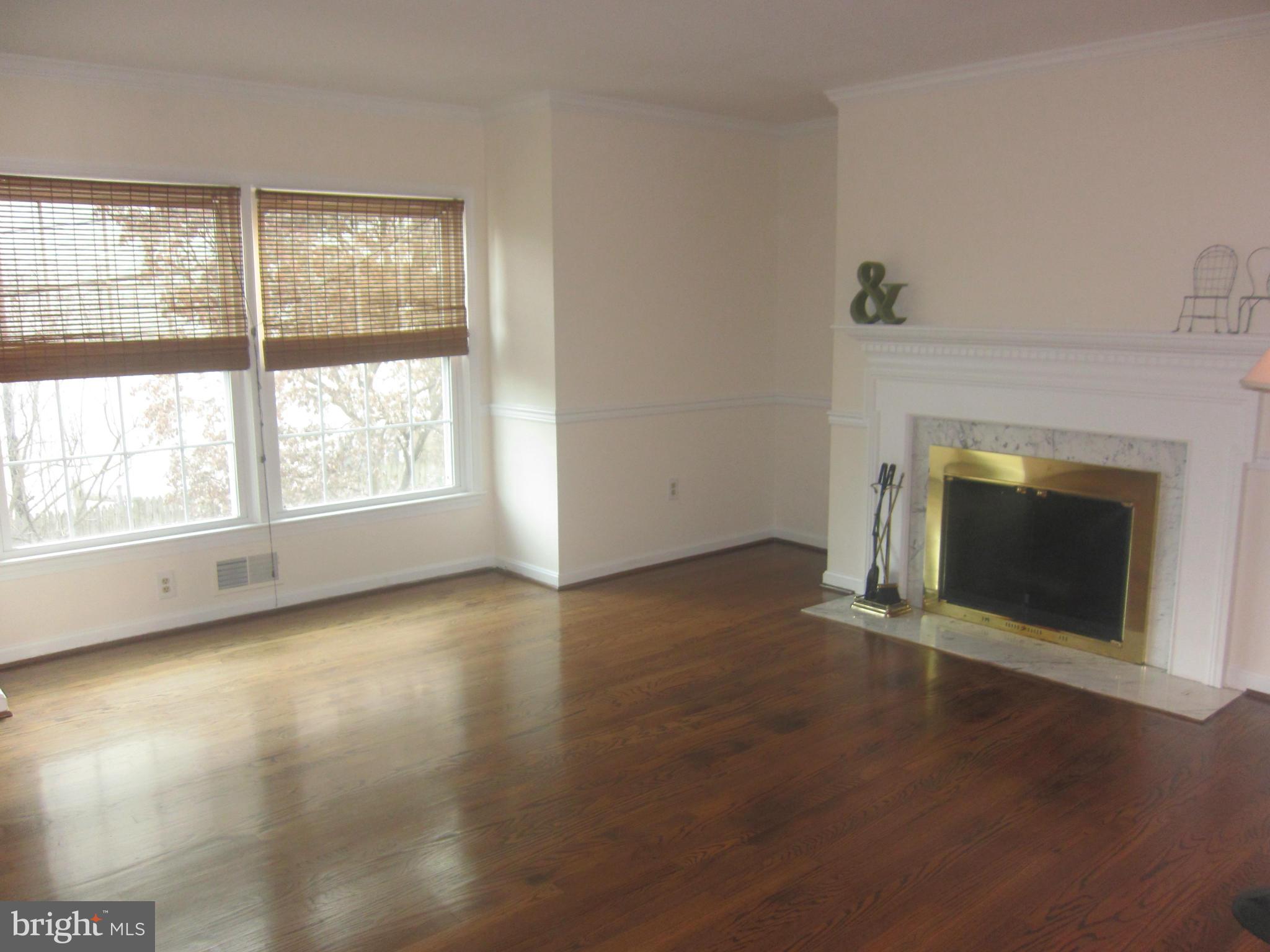 2208 Bucknell Terrace, Unit 24 Silver Spring, MD 20902 - Photo 6 of 28 Living Room with fireplace, marble surround