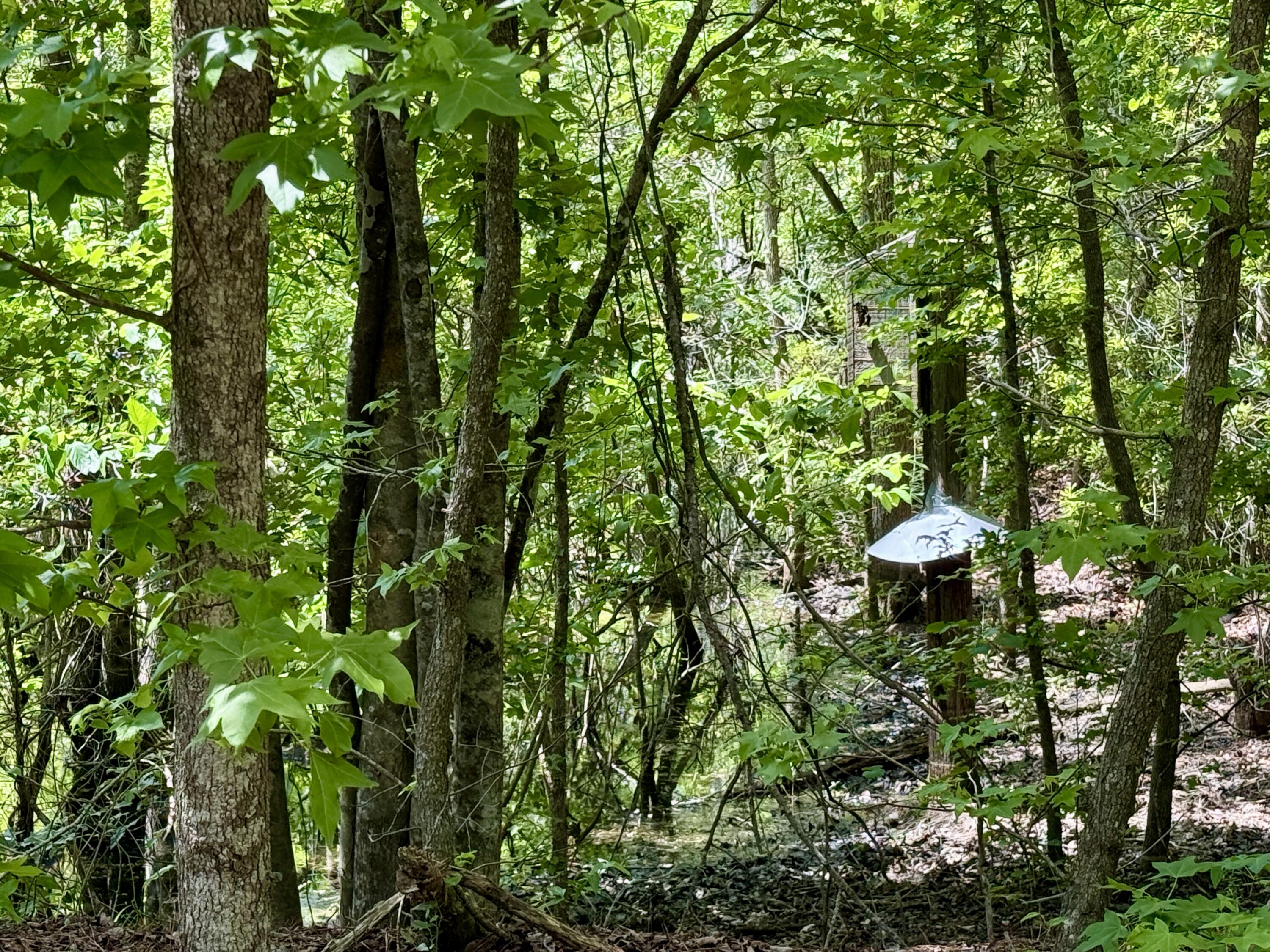 337 Weathers Farm Road Bowman, SC 29018 - Photo 59 of 78