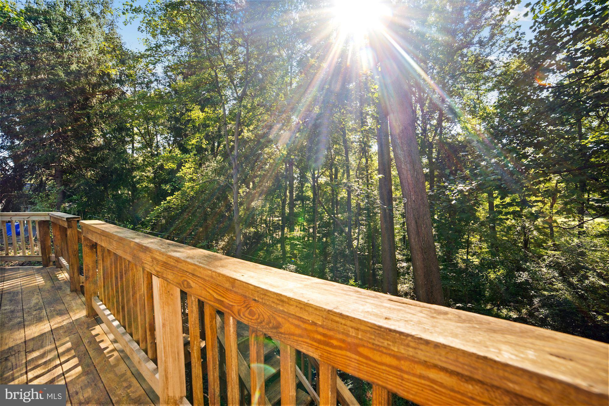 12722 Eldrid Place Silver Spring, MD 20904 - Photo 24 of 30