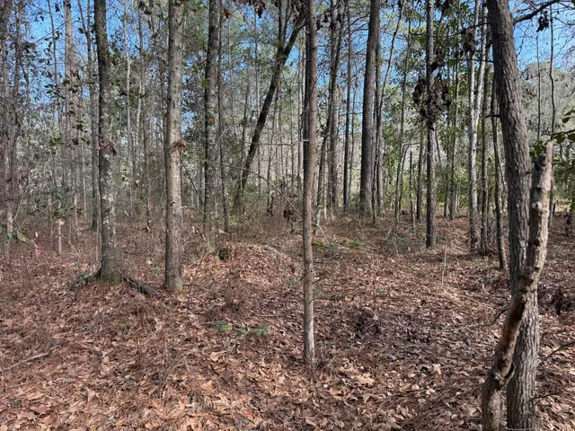 $150,000 | 0 Lazy Hill Road, Moncks Corner, SC 29461