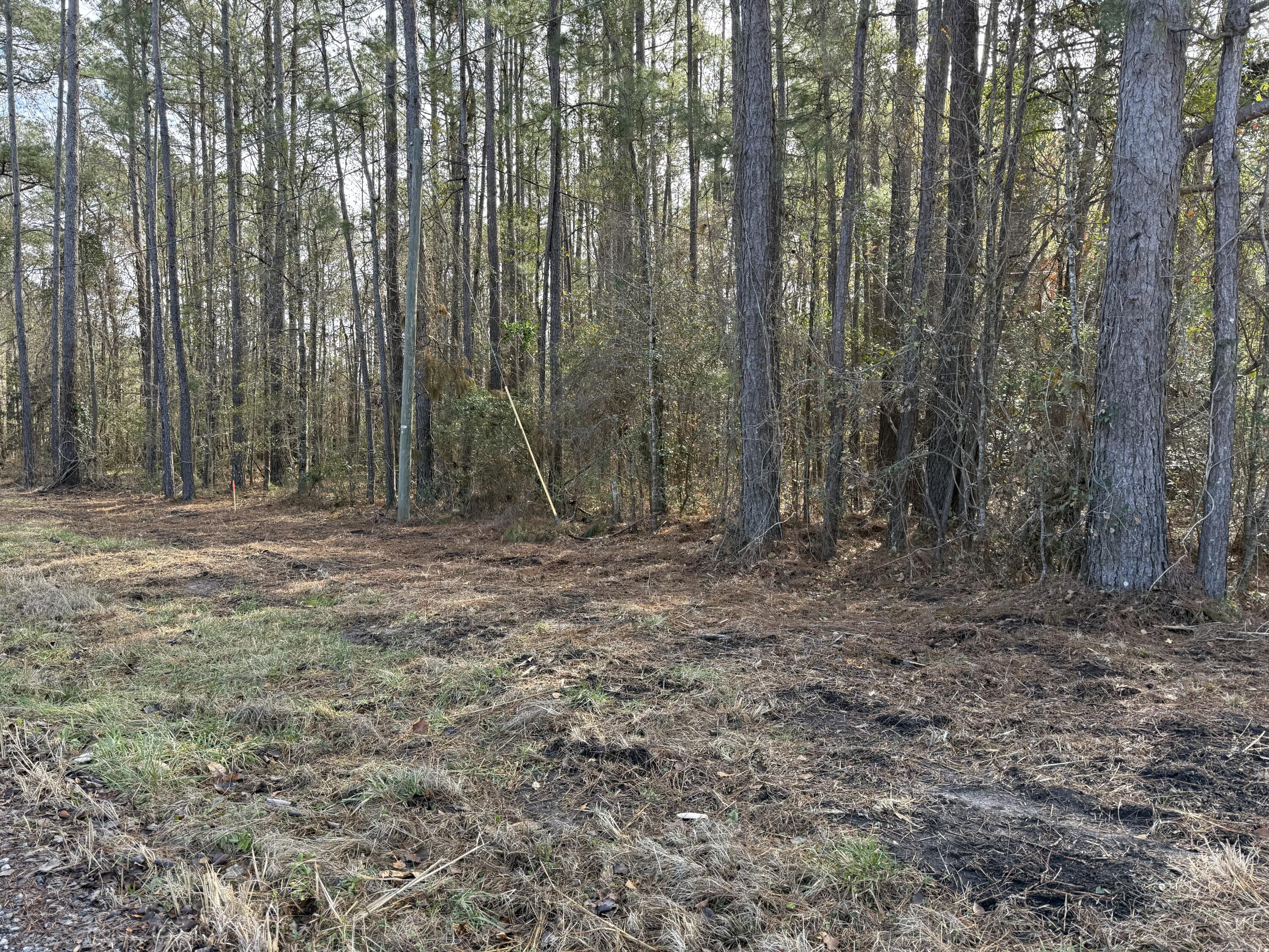 0 Lazy Hill Road Moncks Corner, SC 29461 - Photo 5 of 5 IMG_5507