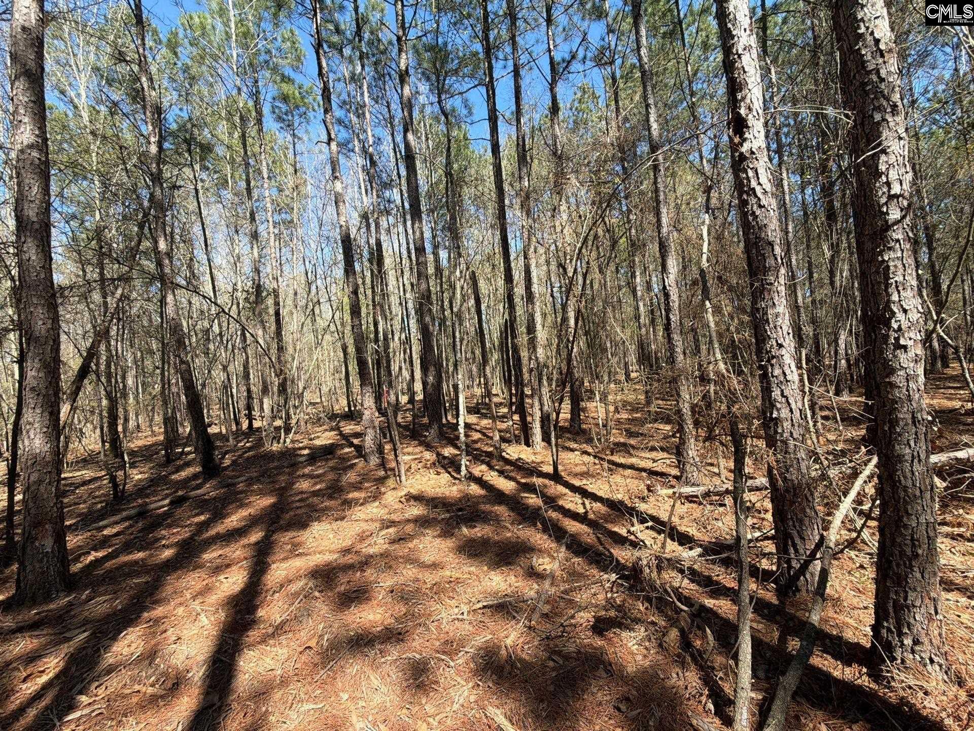 13 Boise Cascade Road, Unit BHL 13 Bethune, SC 29009 - Photo 21 of 31