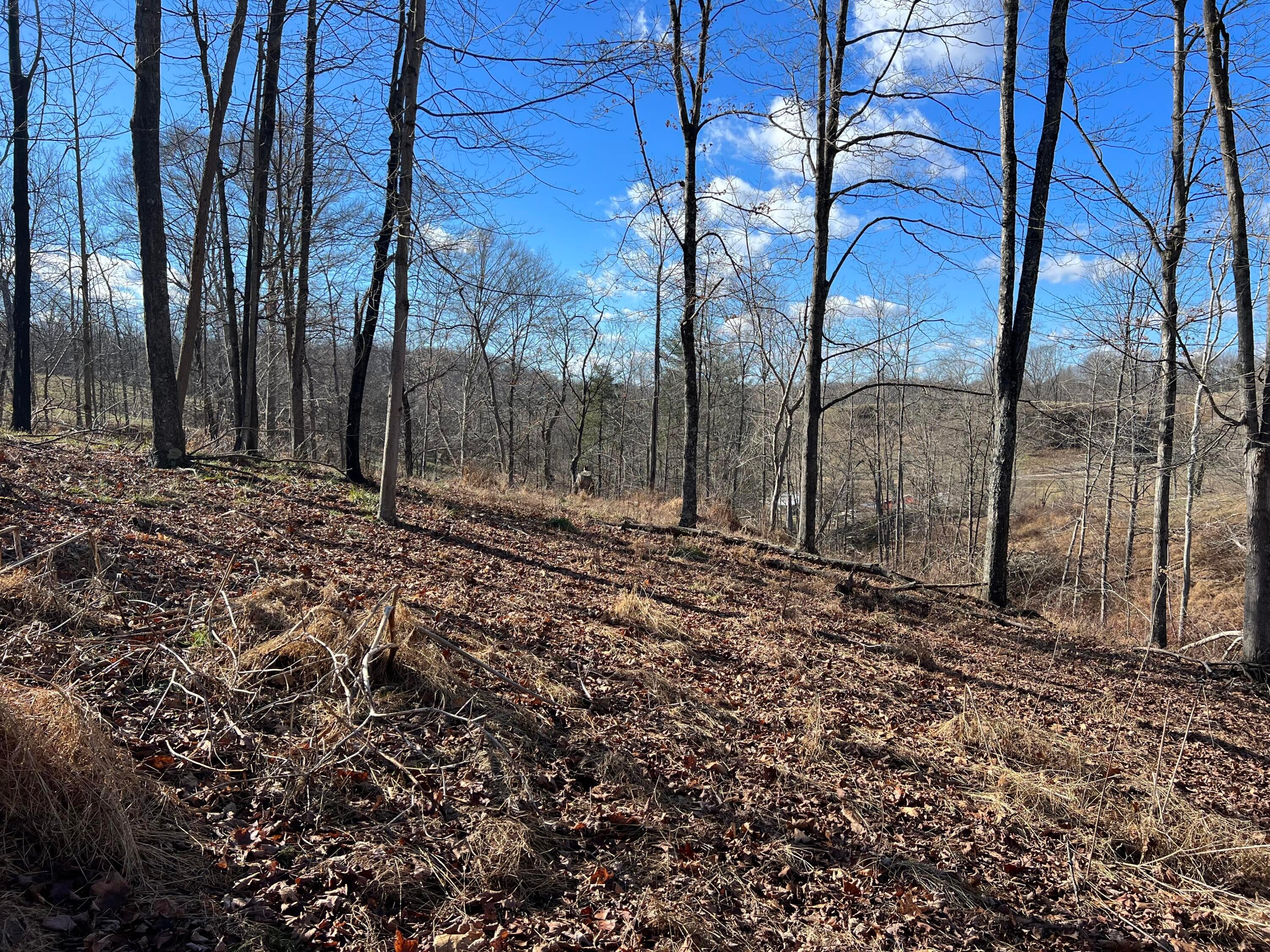 0 McGrath Road, Unit MCGRATH TRACT 3) Athens, OH 45701 - Photo 22 of 27 20240111_182104800_iOS