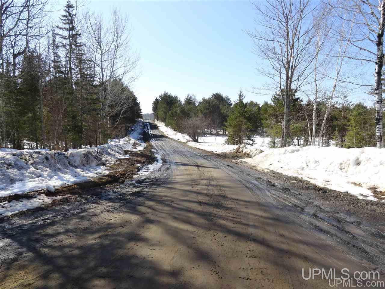 240-acres Leek Road Covington, MI 49919 - Photo 1 of 50