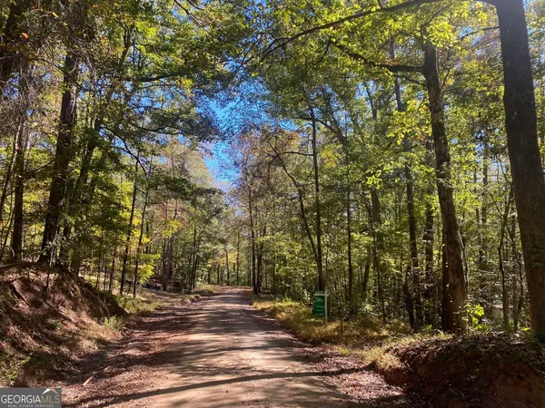 $999,900 | 90-acres English Road, Forsyth, GA 31029