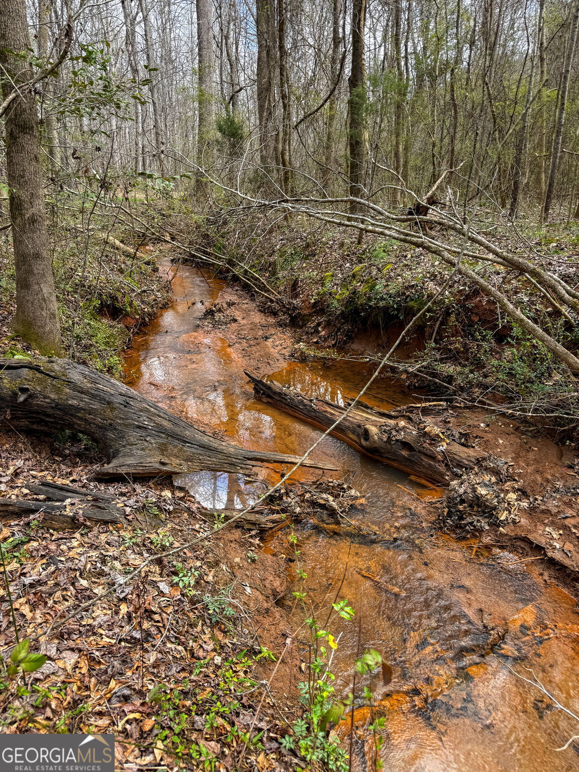 90-acres English Road Forsyth, GA 31029 - Photo 11 of 55