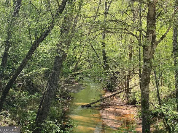 $999,900 | 90-acres English Road, Forsyth, GA 31029