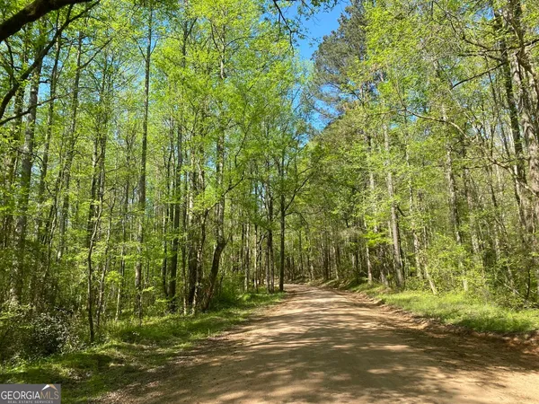 $999,900 | 90-acres English Road, Forsyth, GA 31029