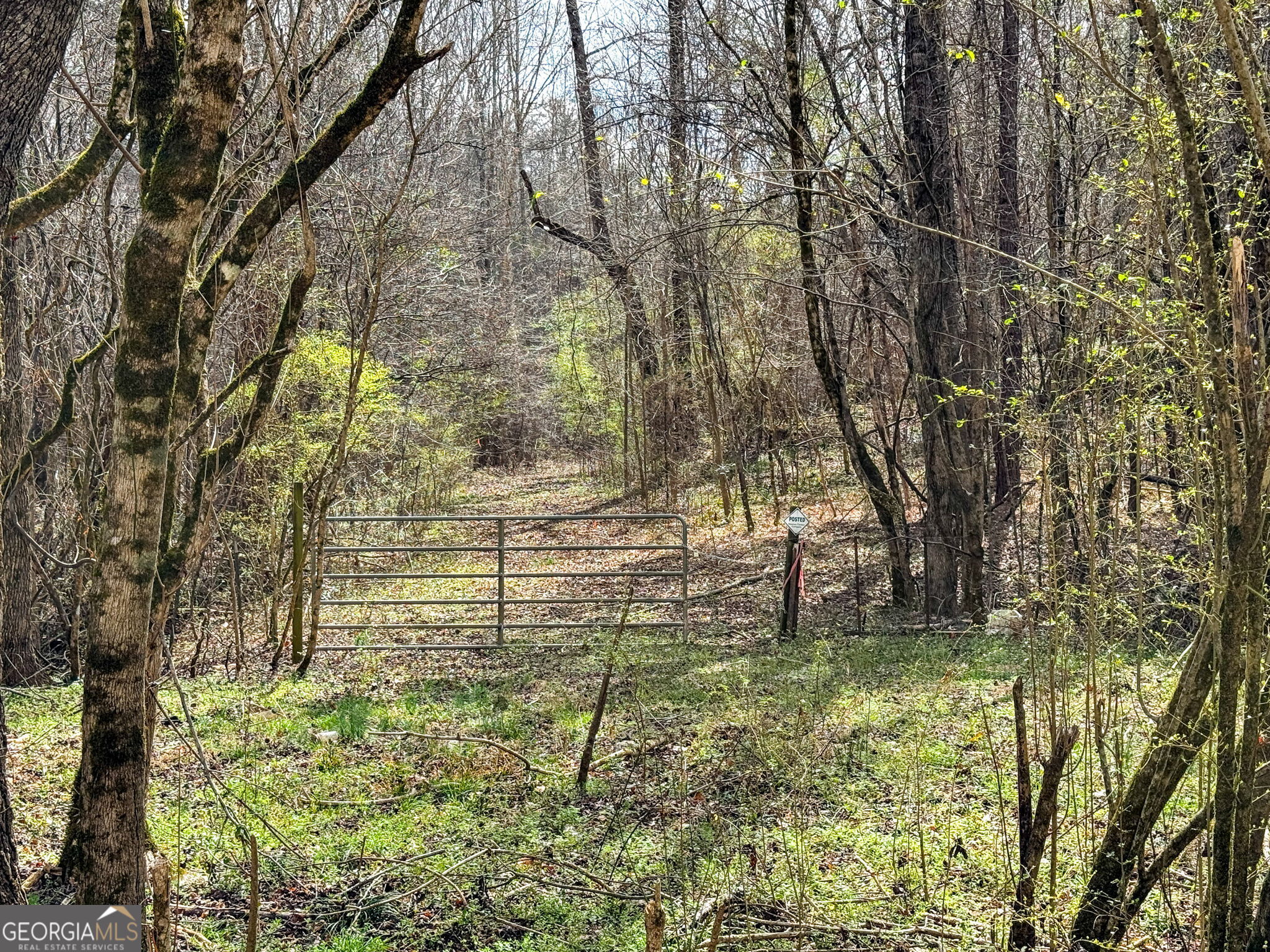 90-acres English Road Forsyth, GA 31029 - Photo 13 of 55